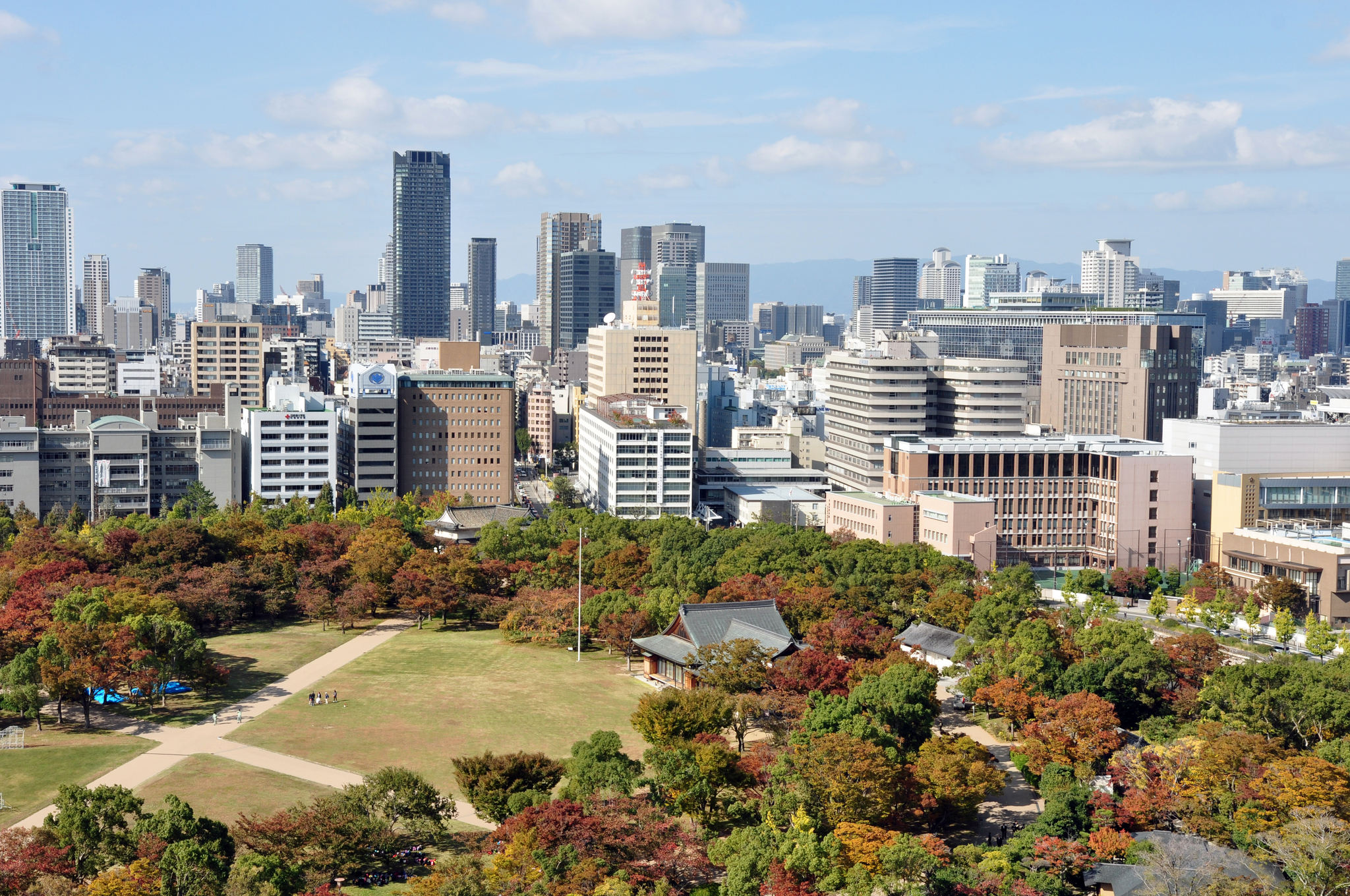 Castle, wheel, tower (Osaka, Japan) - My, Japan, Osaka, Lock, Ferris wheel, Tower, Панорама, Longpost