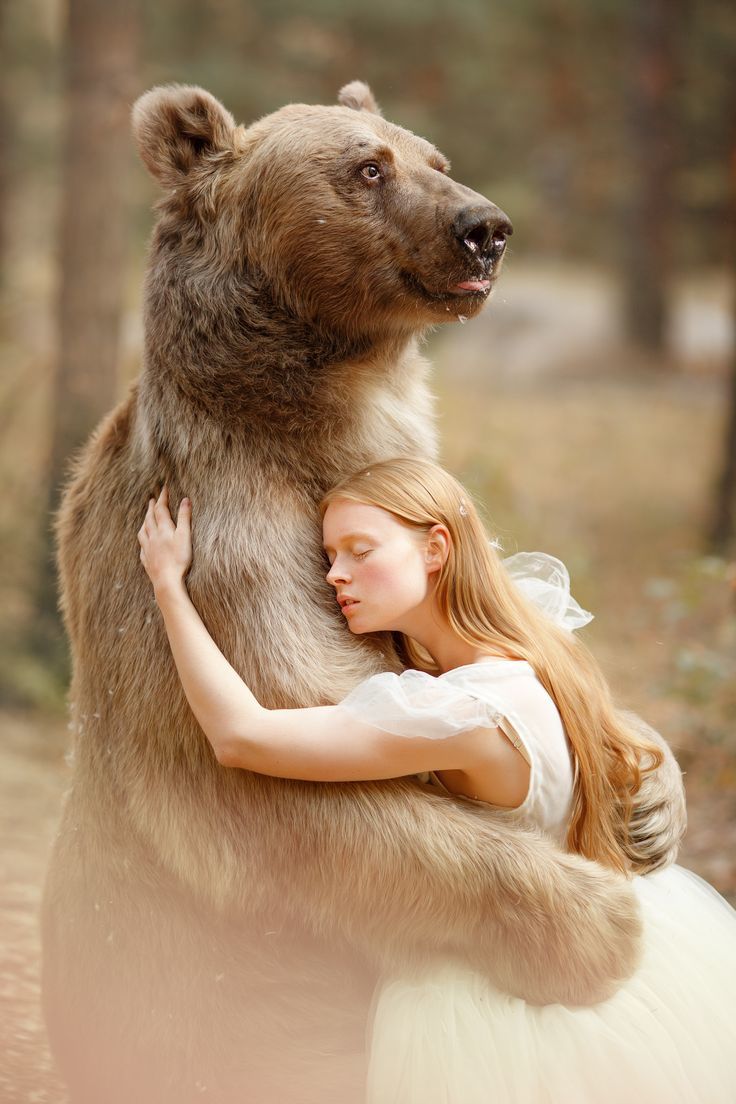 Stepan and the ladies - The Bears, Girls, Longpost, Medved Stepan