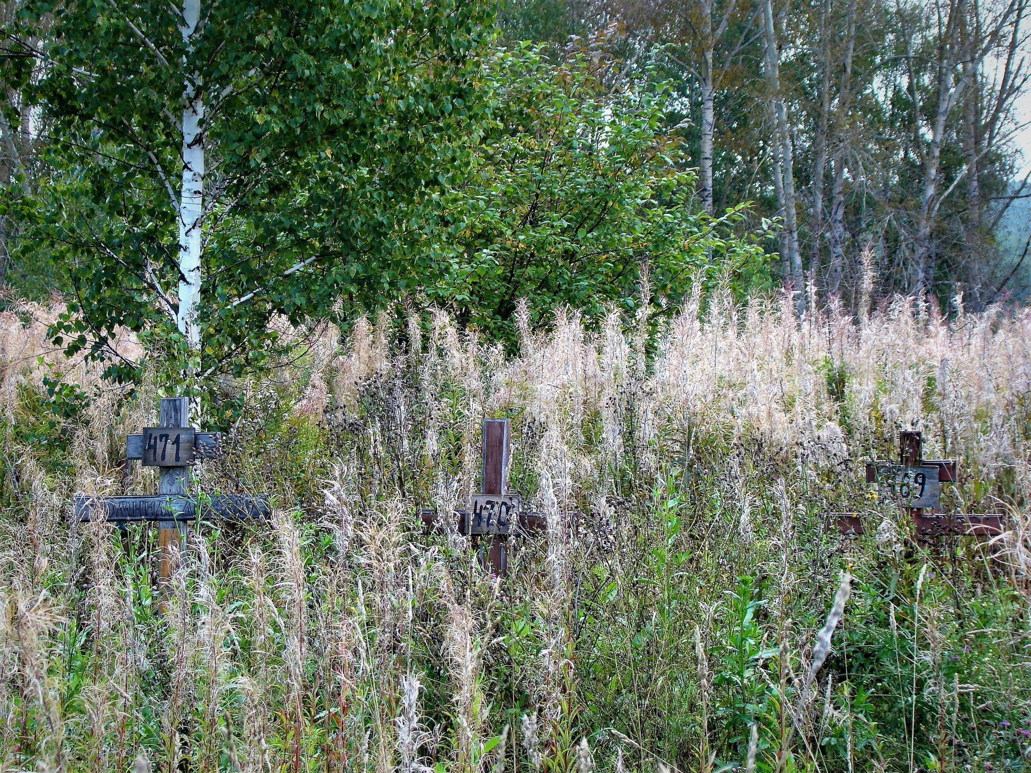 Cemeteries of the homeless - My, Cemetery, Death, Homeless, Russia, Longpost, Negative