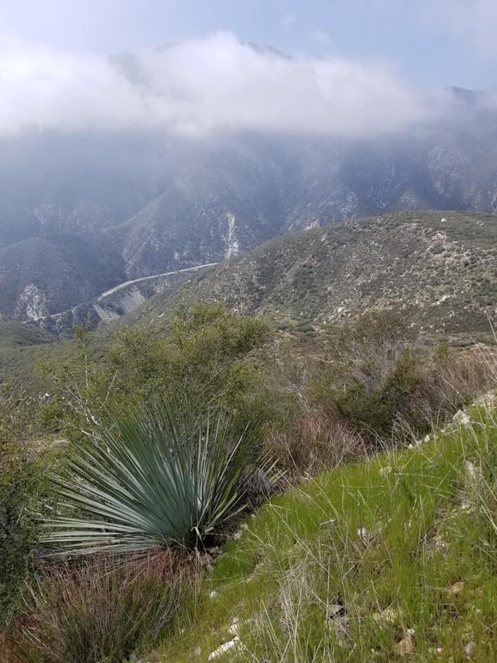 California - preamble - My, Nature, Overview, Longpost, California, USA