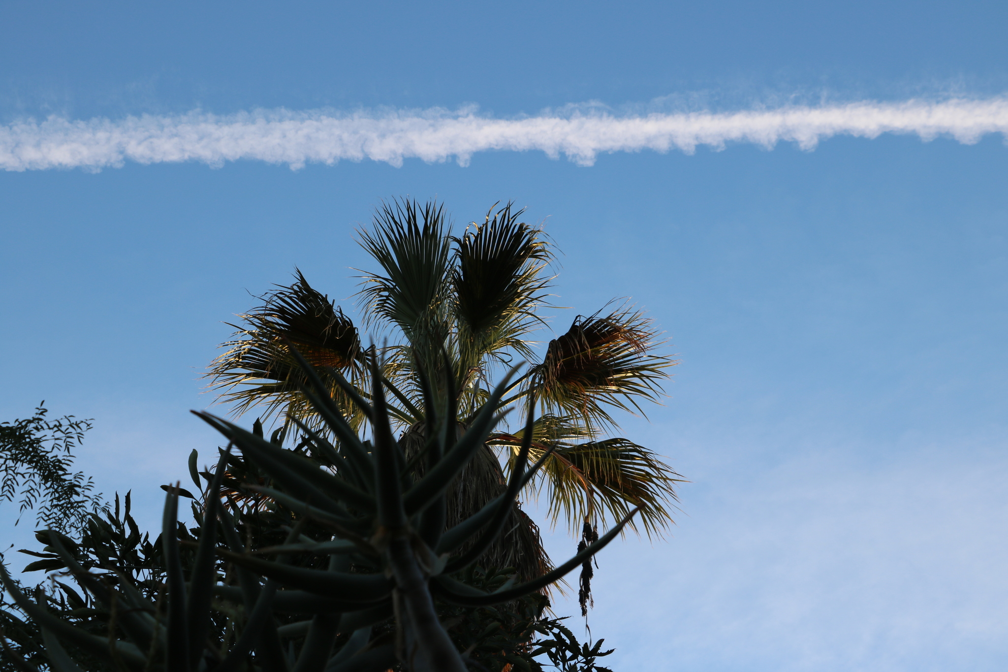 California - preamble - My, Nature, Overview, Longpost, California, USA