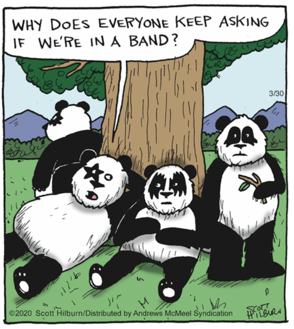 Probably confused with someone - Comics, Scott Hillburn, Kiss, Panda