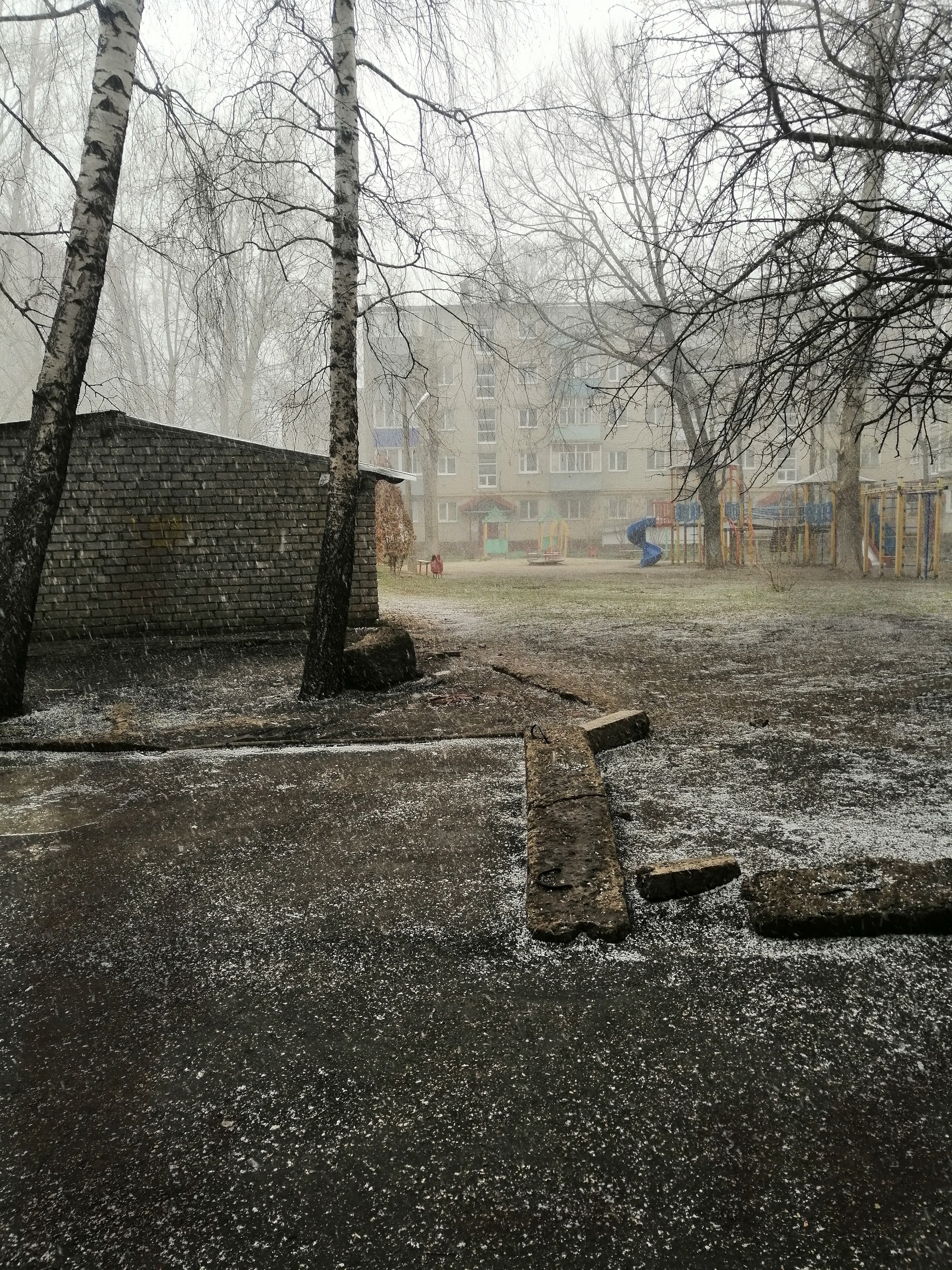 Yard - My, Courtyard, Snow