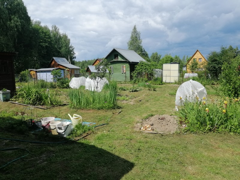 Deputies regulate the behavior of Russians at their dachas - The property, Neighbours, Dacha, Longpost