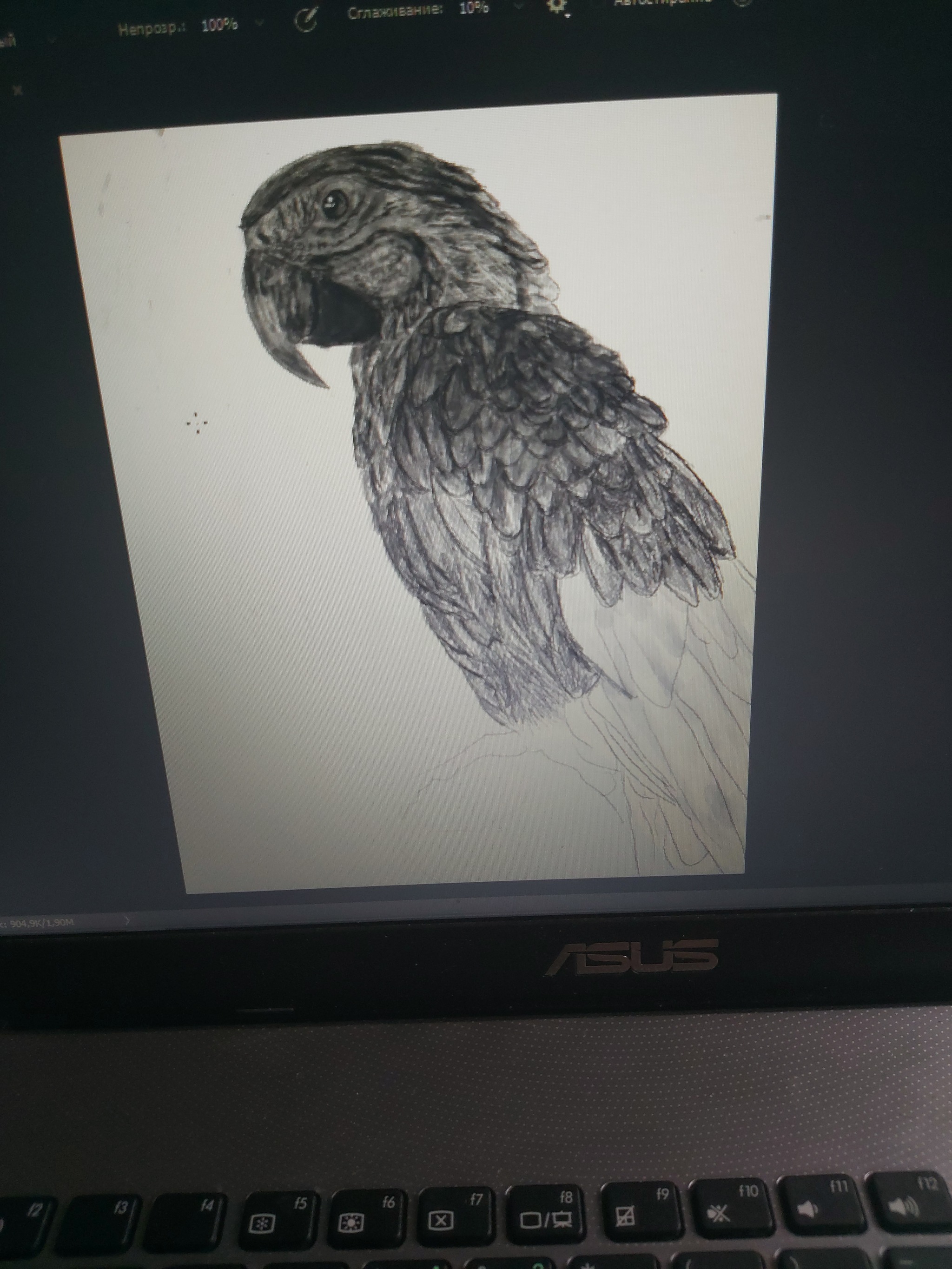 Trying a graphics tablet for the first time - My, A parrot, Art, Digital drawing, Longpost