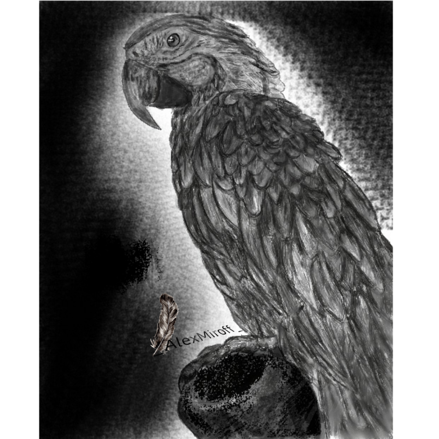 Trying a graphics tablet for the first time - My, A parrot, Art, Digital drawing, Longpost