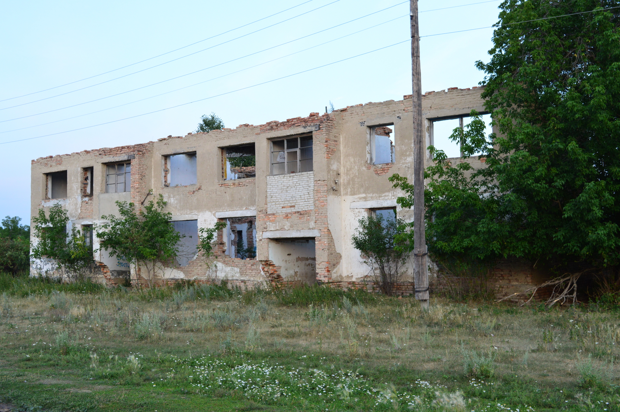 Remains of an advanced civilization - My, the USSR, Russia, Village, Past, Negative, 90th, Longpost