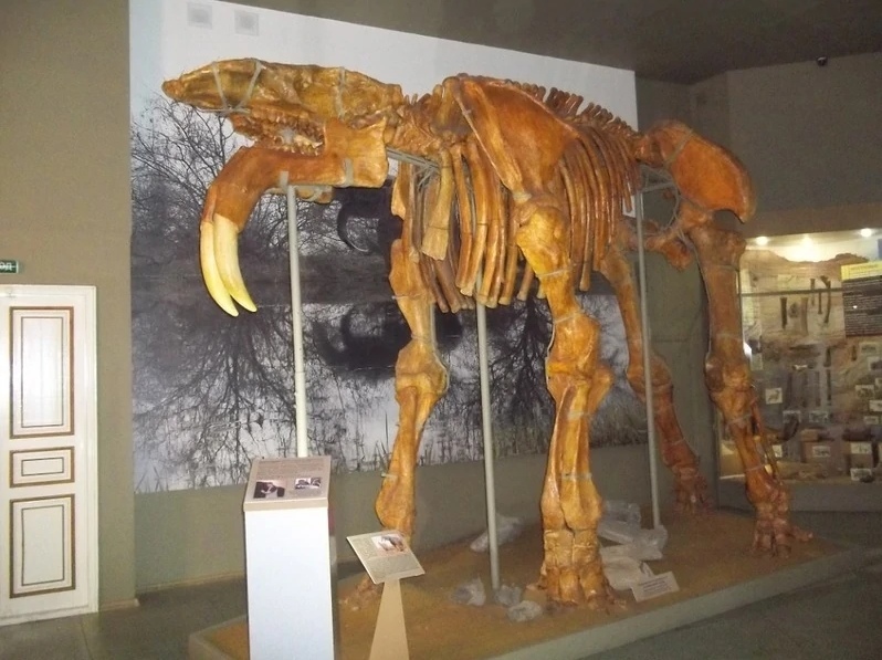 Extinct elephants - My, Elephants, Paleontology, Evolution, Animals, Interesting, Informative, Longpost, Dinoterium