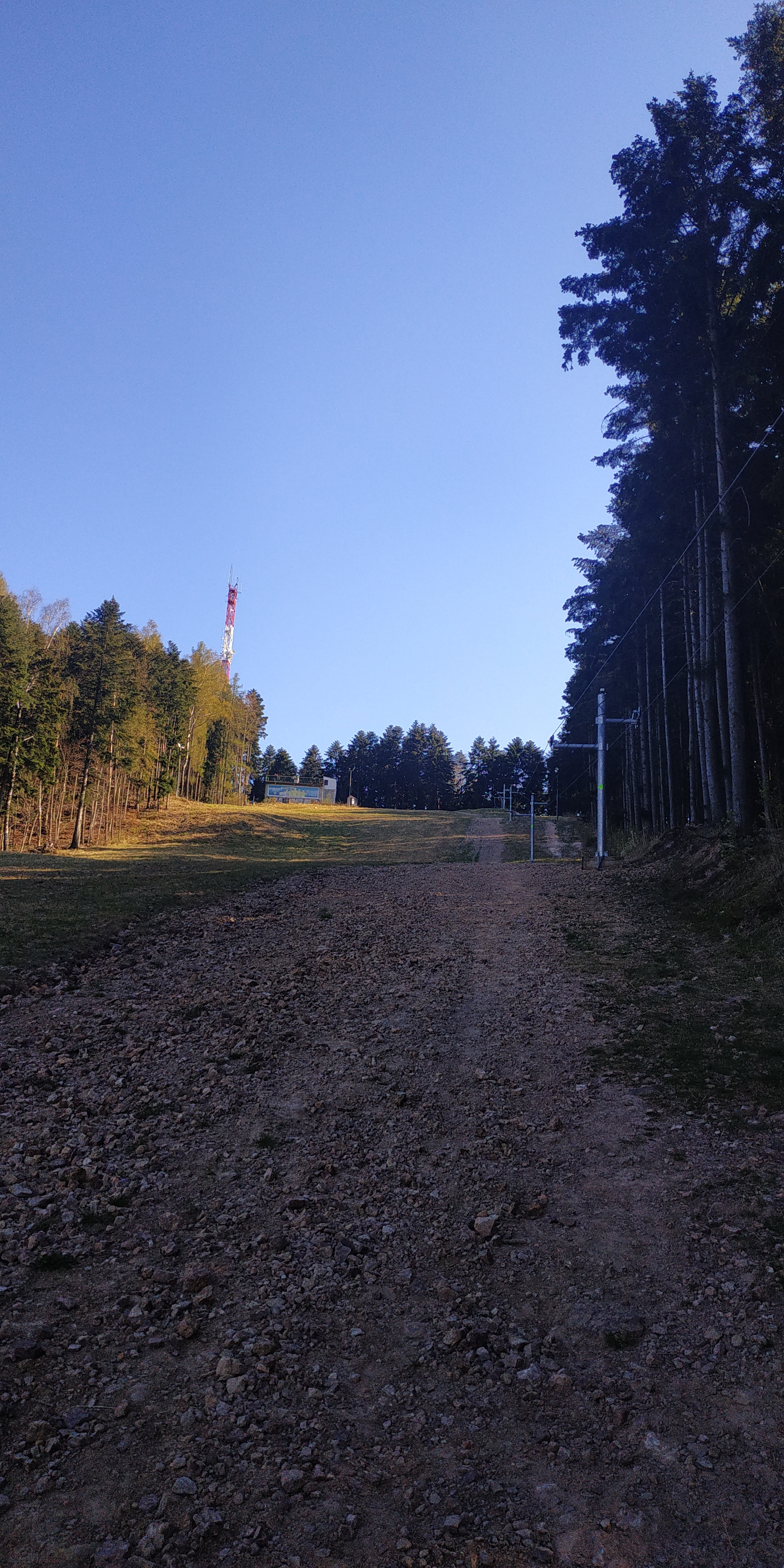 Mount Telegraph - My, Forest, Nature, Ski slope, Poland, Longpost