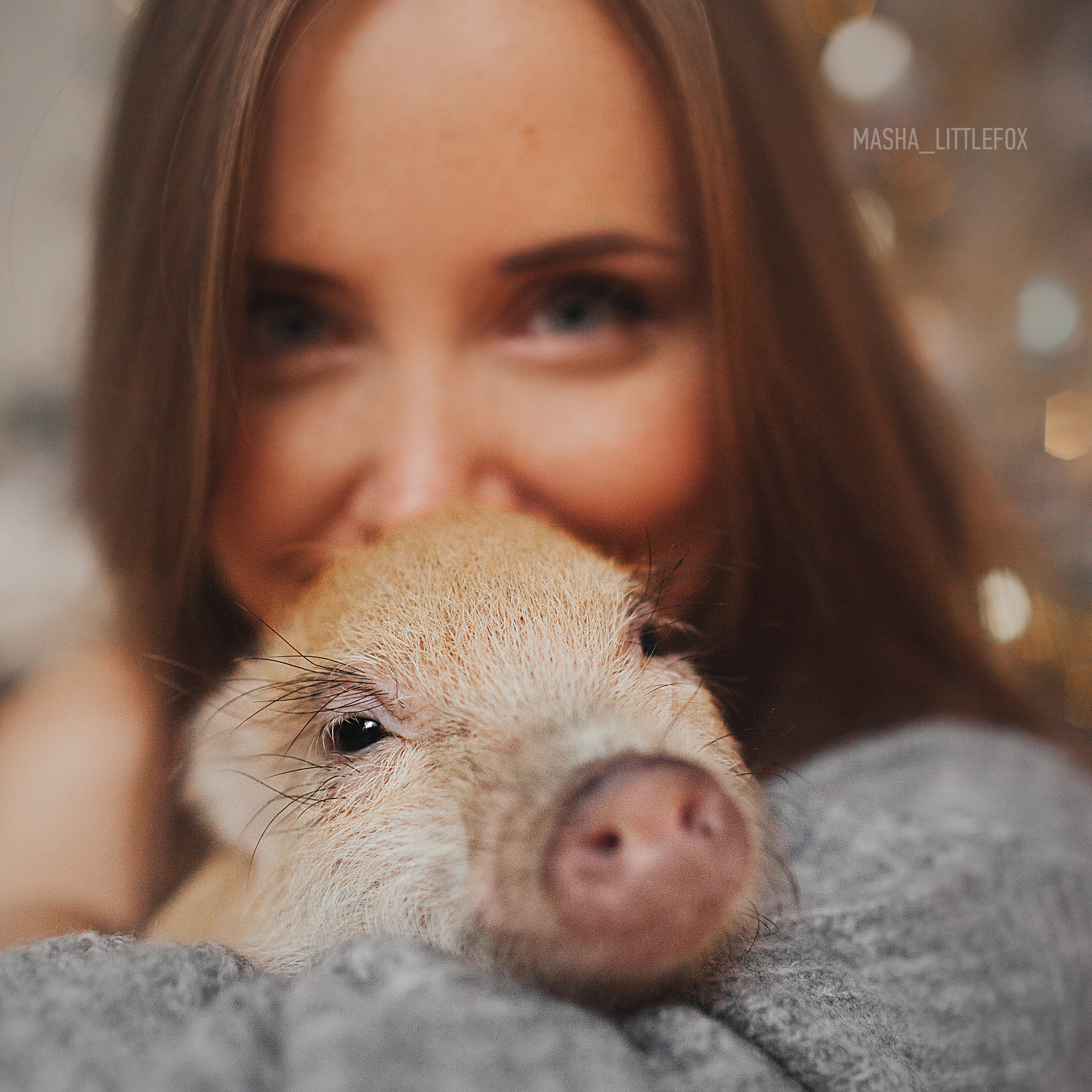 About pigs with love - My, Mini Pig, Pig, Piggy