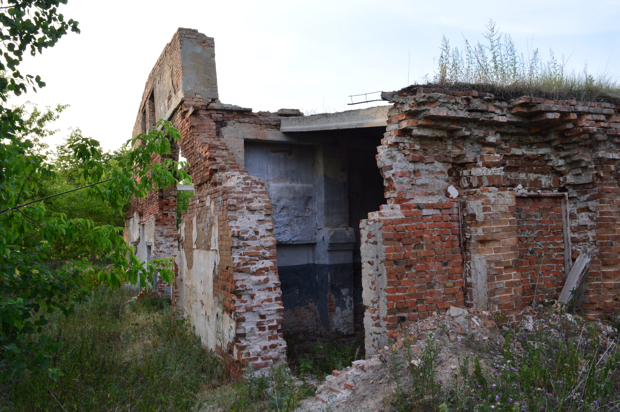 Remains of an advanced civilization - My, the USSR, Russia, Village, Past, Negative, 90th, Longpost