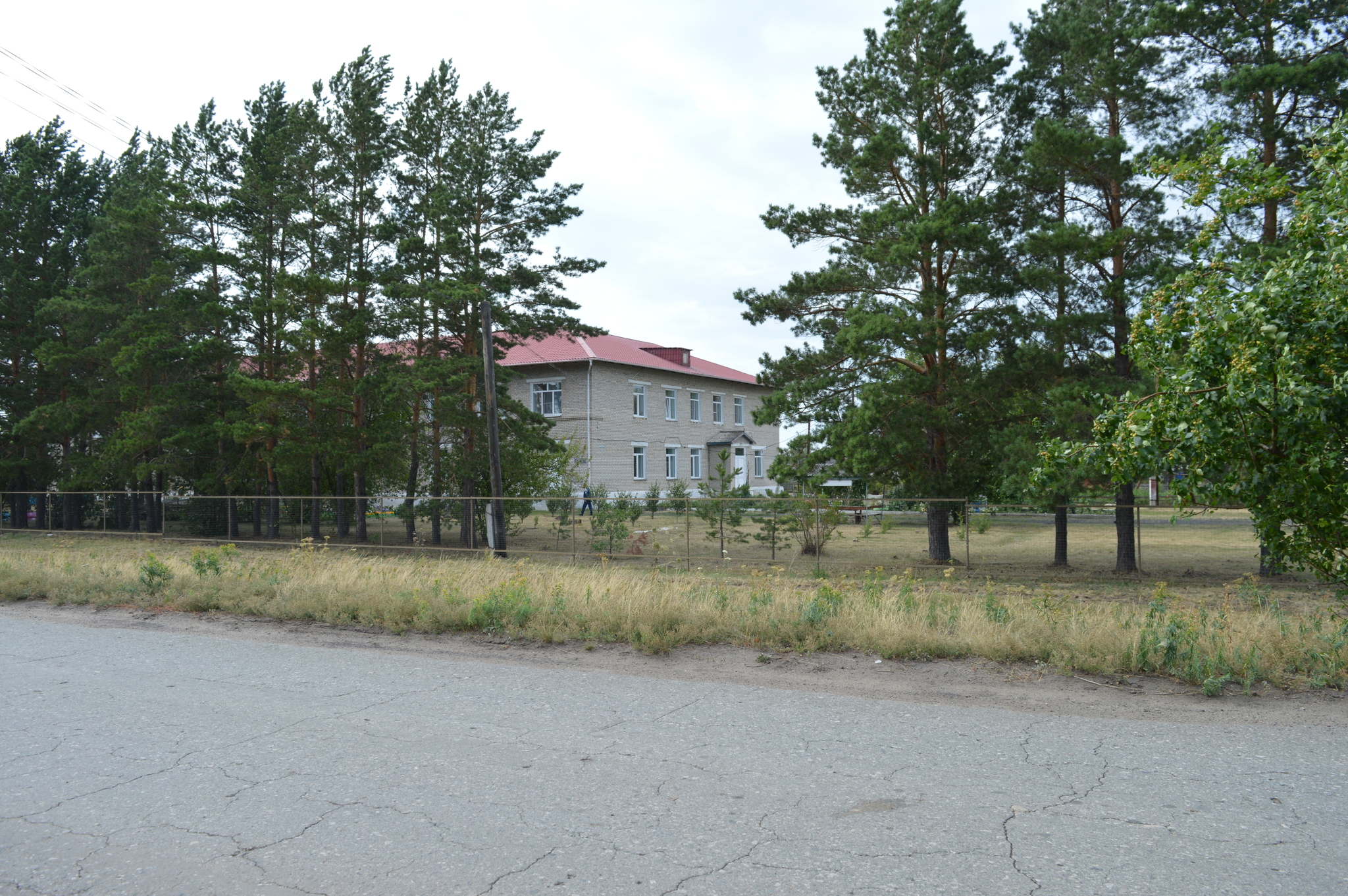 Remains of an advanced civilization - My, the USSR, Russia, Village, Past, Negative, 90th, Longpost