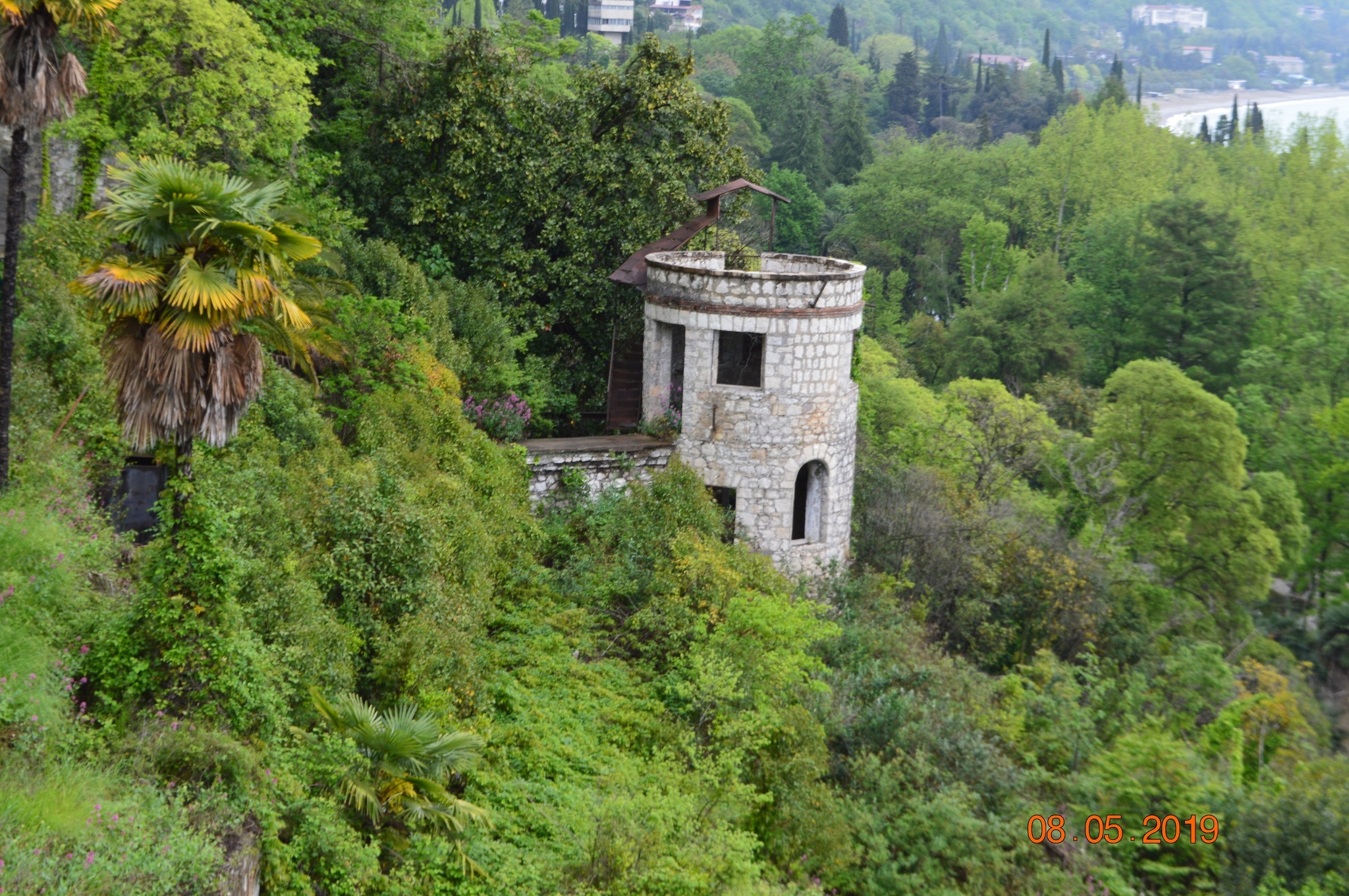 Nostalgia for Abkhazia) - My, Abkhazia, The photo, Travels, archive, New Athos, Gagra, Sukhum, Longpost