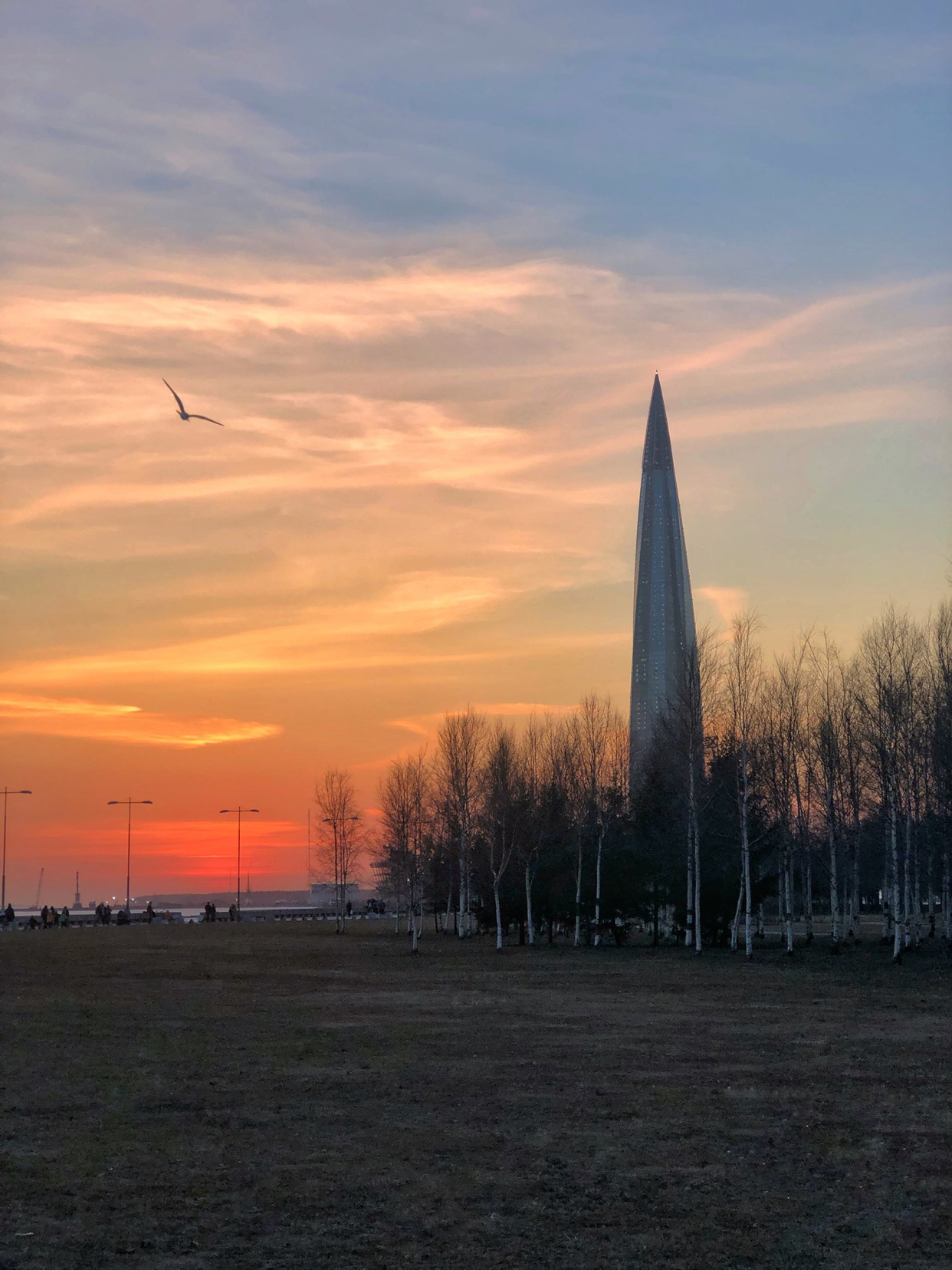 Weekend photo IX - My, The photo, Sunset, Longpost, dawn, Seagulls