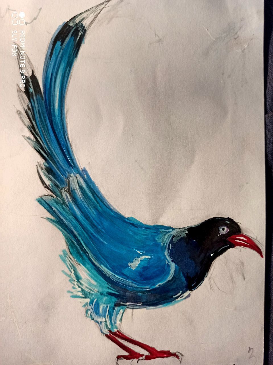 Watercolor (and not only) birds - Watercolor, Art, Birds, Author's story, Marker, Longpost