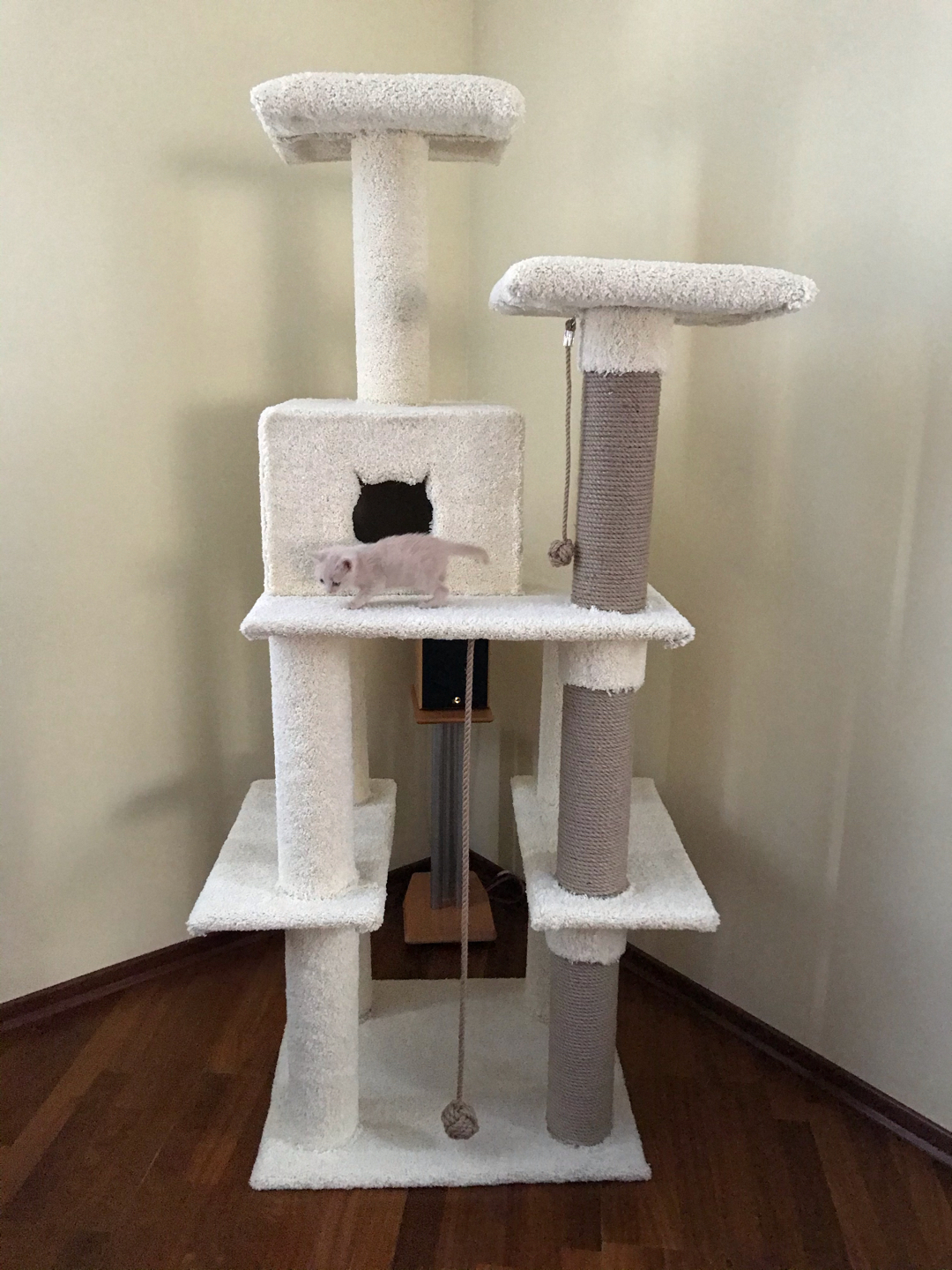 How we built a complex for a kitten (LONG POST) - My, cat house, With your own hands, Longpost, cat, Kittens, Game Complex