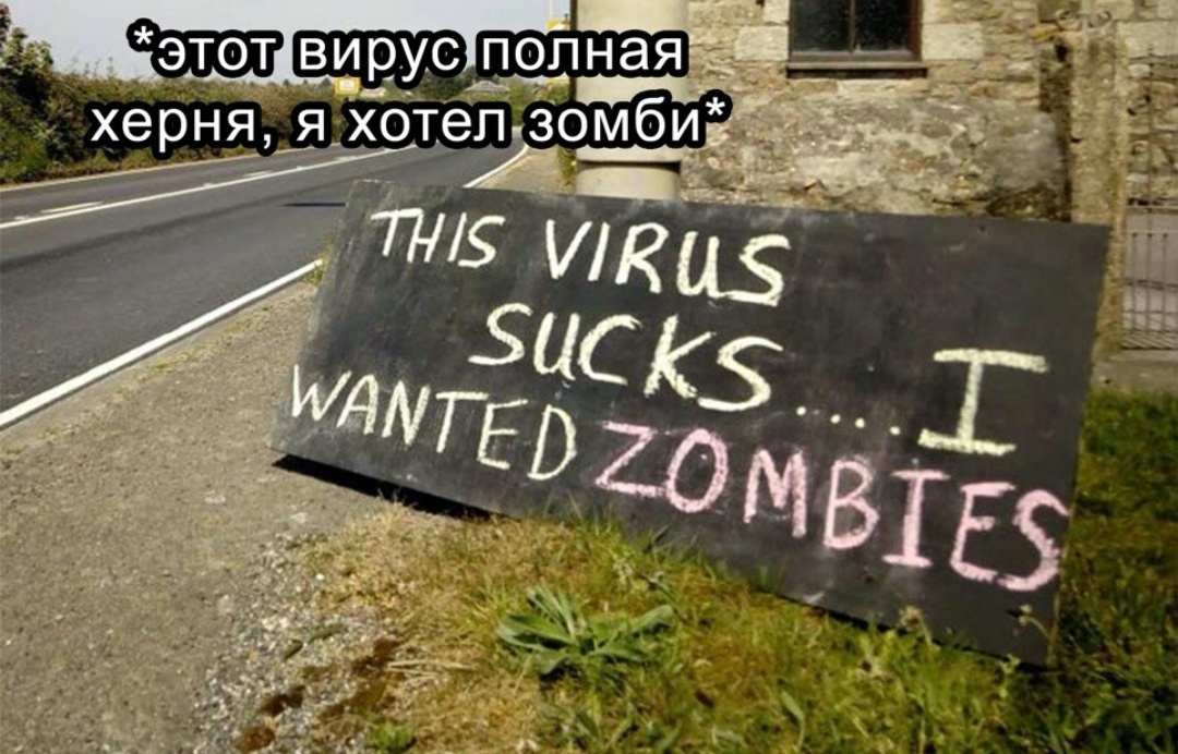 I wanted zombies, not all this... - Coronavirus, Insulation