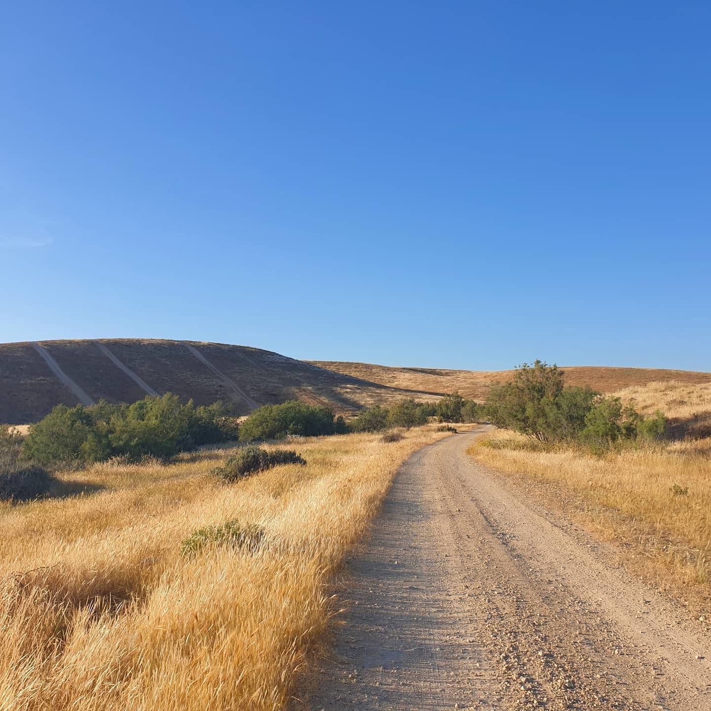 Negev desert - south of Israel - My, Negev, Gold, Longpost