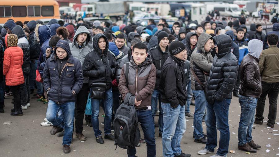 Migrants will be supported at the expense of ordinary Russians - Migrants, Migration policy, Coronavirus, Quarantine, Unemployment