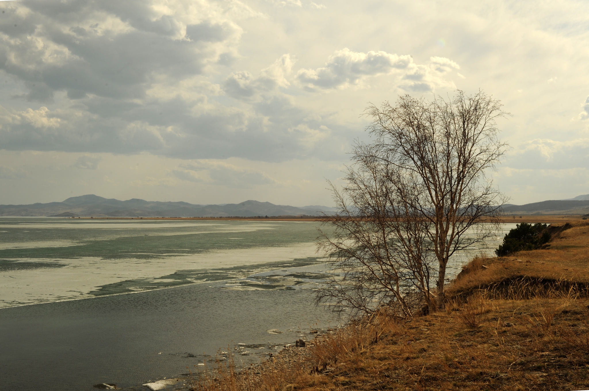 Spring, May Baikal - My, Baikal, Moto, Ice, Spring, Fog, 1st of May, Tree, Longpost