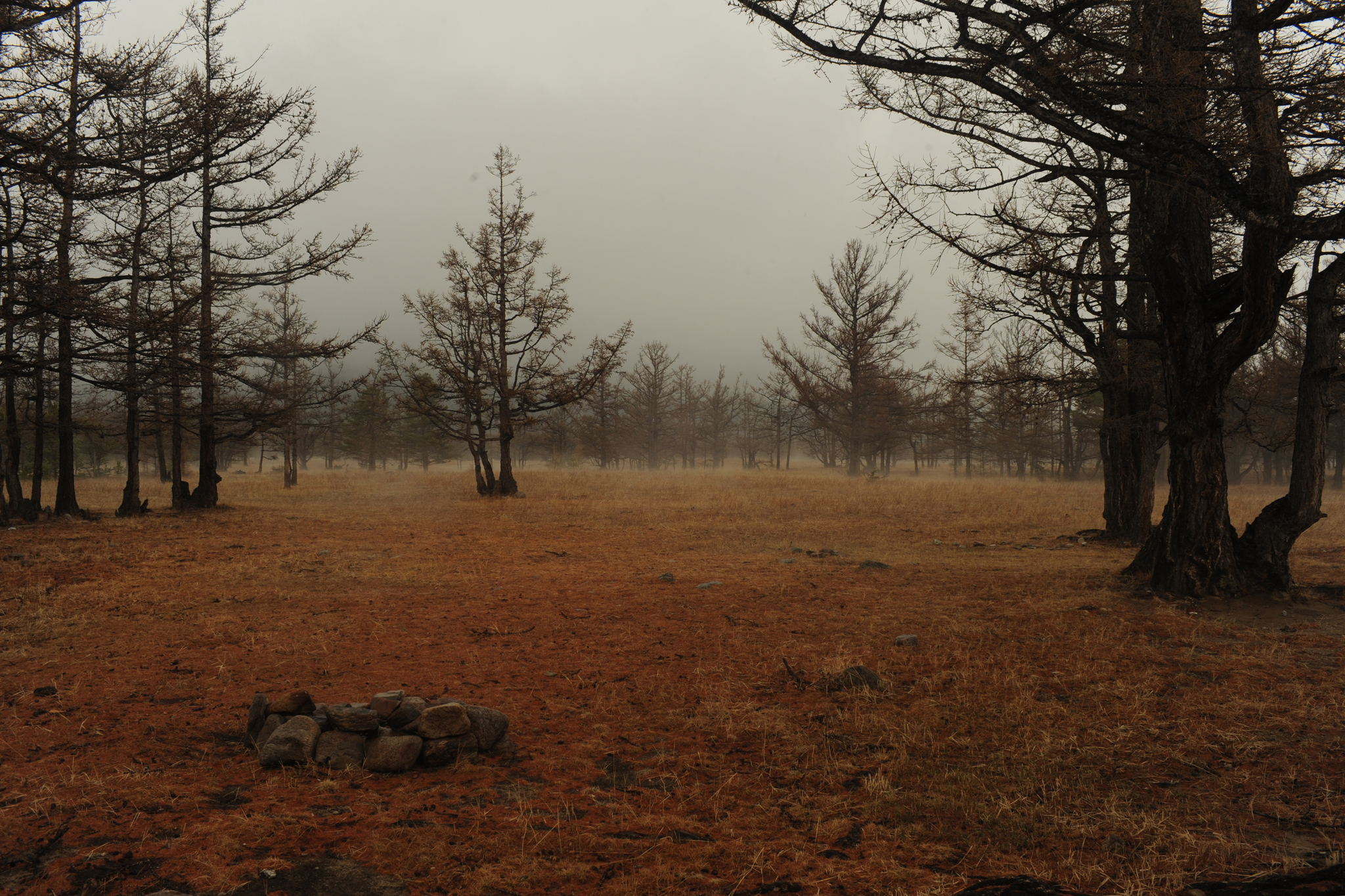 Spring, May Baikal - My, Baikal, Moto, Ice, Spring, Fog, 1st of May, Tree, Longpost