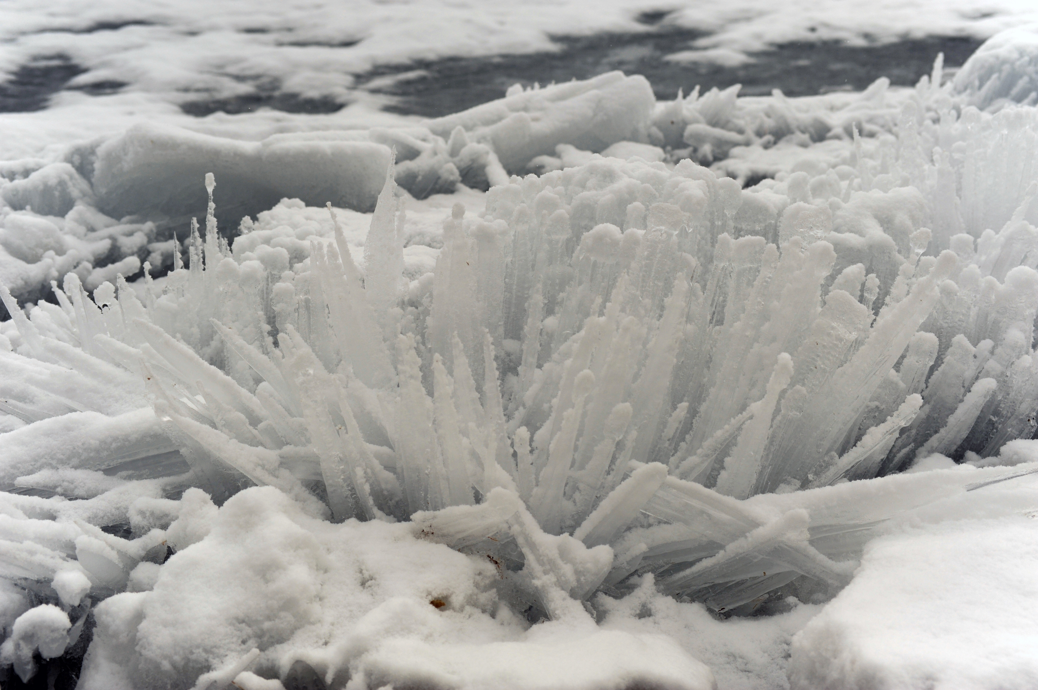 Spring, May Baikal - My, Baikal, Moto, Ice, Spring, Fog, 1st of May, Tree, Longpost