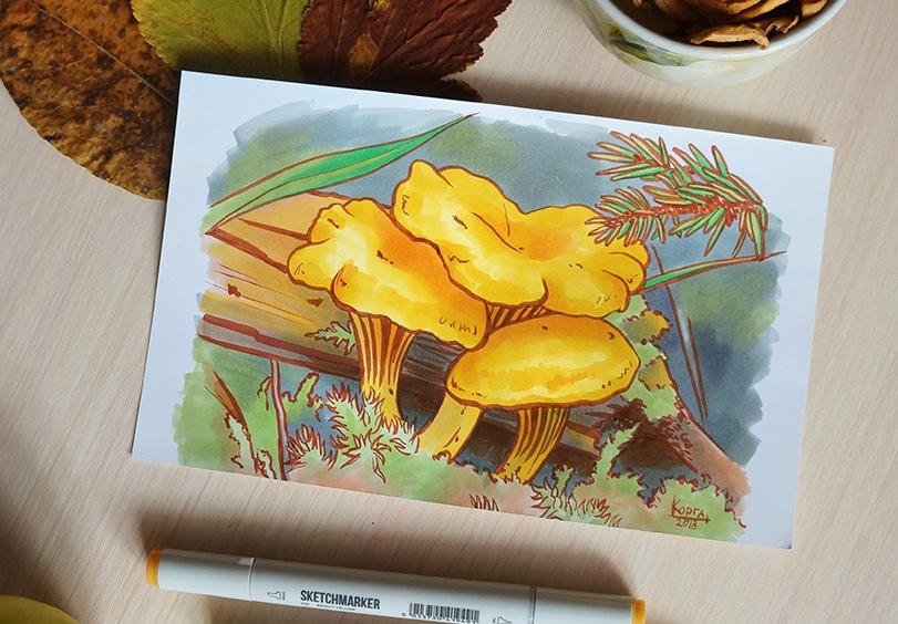 First experience with markers - My, Drawing, Illustrations, Mushrooms, Artist, Painting, Art, Material, Notes, Longpost