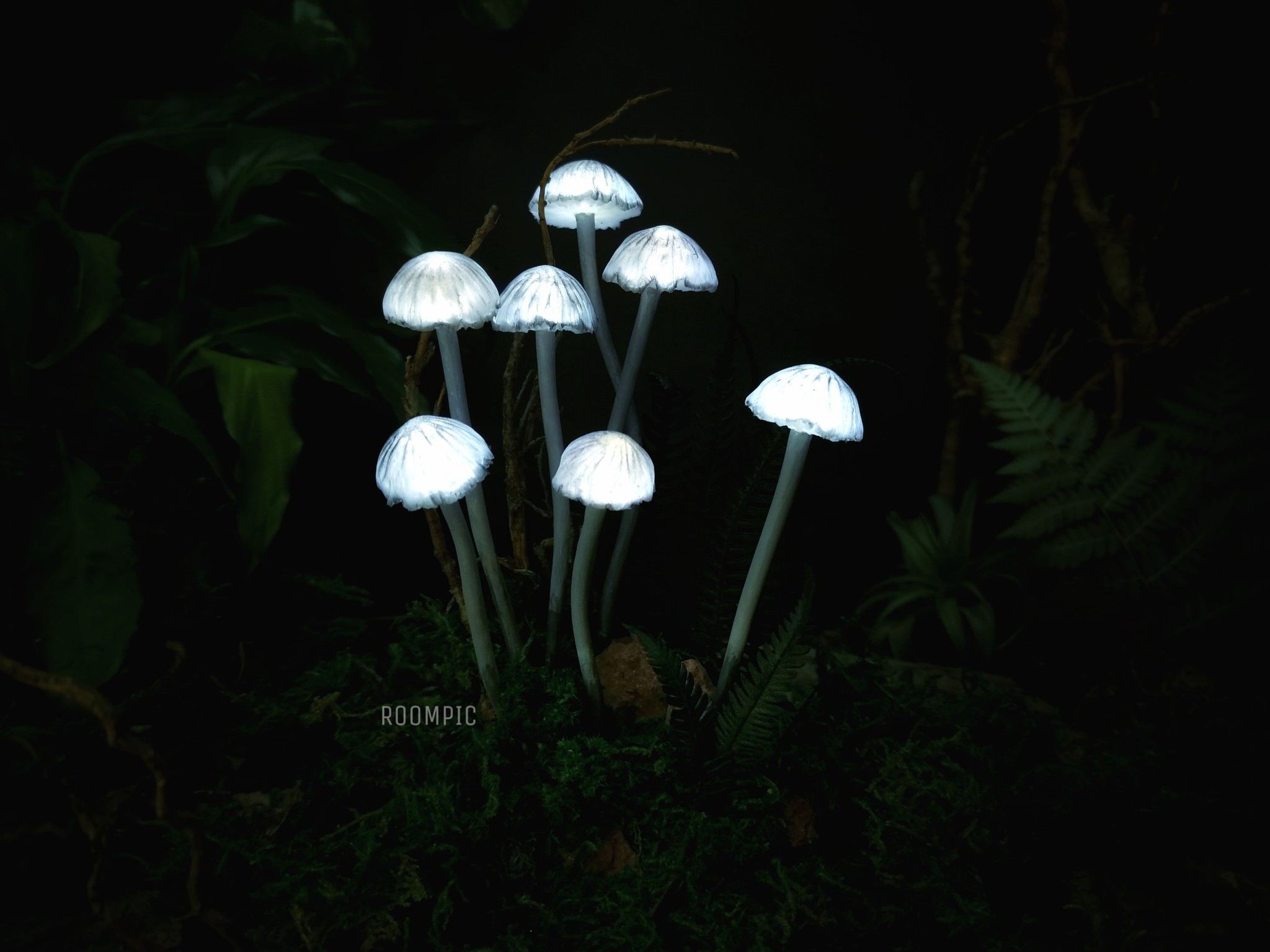 Glowing mushrooms, micro toadstools - My, Needlework without process, Handmade, Polymer clay, Mushrooms, Longpost