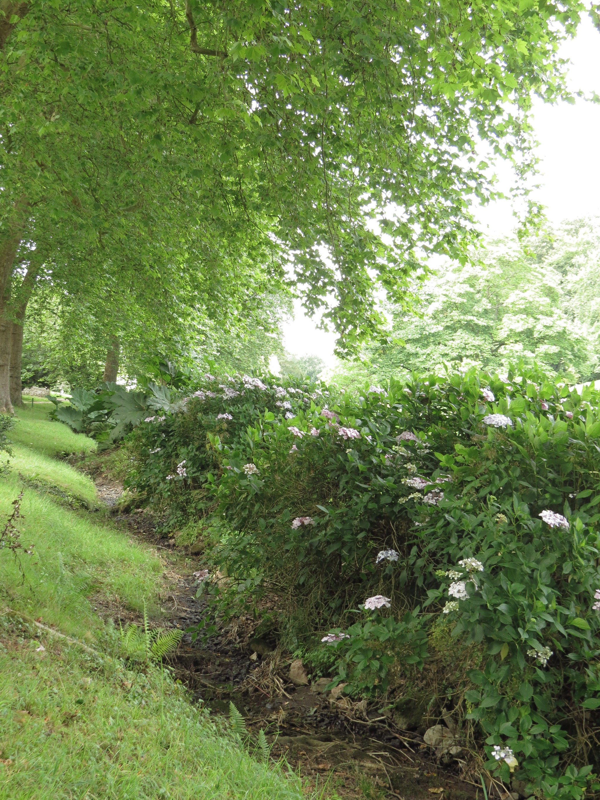 St Fagans National History Museum - My, Wales, Great Britain, Museum, Story, Architecture, Gardens, The park, Longpost