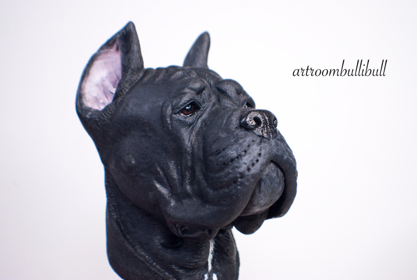 Cane Corso Bust - My, Cane Corso, Corse, Bust, Polymer clay, Cernit, Handmade, Video, Longpost, Dog