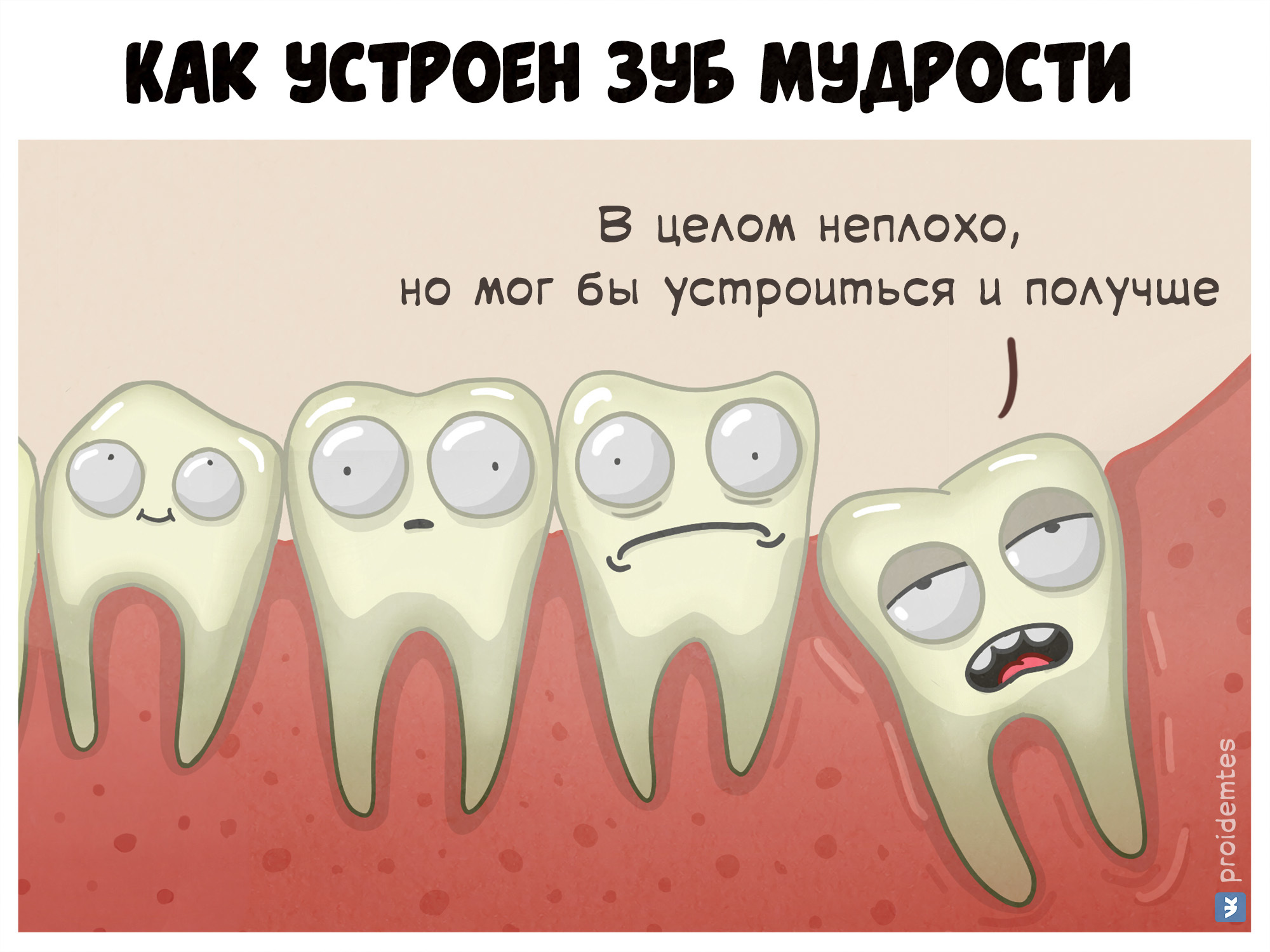 How does a wisdom tooth work? - My, Proidemtes, Teeth, Humor, Comics, Web comic, Picture with text, Wisdom tooth