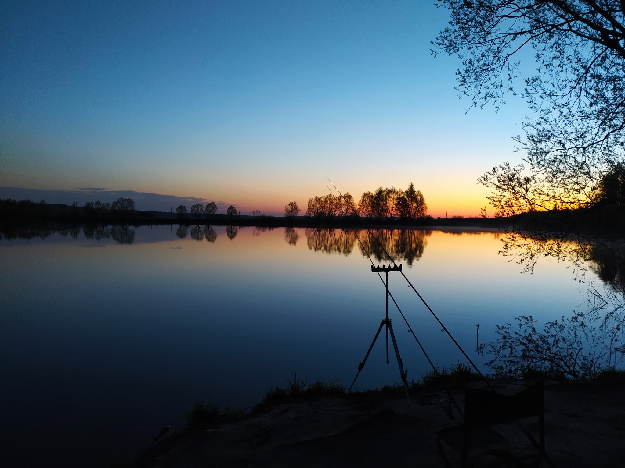 Successful fishing for crucian carp - My, Fishing, Carp, Swans, dawn, Lake, Video, Longpost