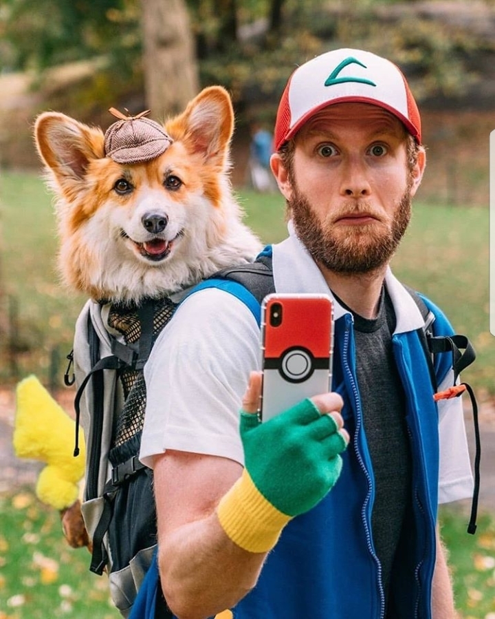 Detective Pikachu - Cosplay, Pikachu, Detective Pikachu, Dog, Corgi, Longpost, Ash Ketchum