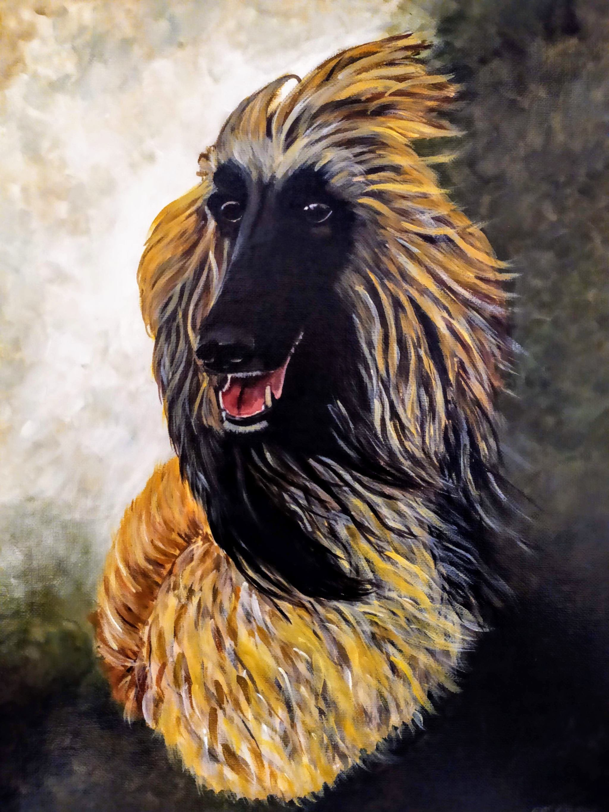 Afghan Hound - My, Painting, Acrylic, Dog, Afghan hound