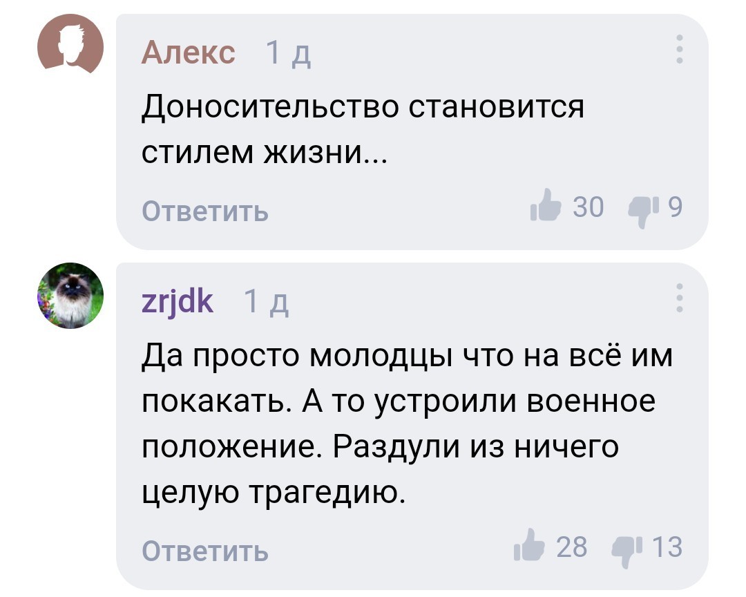 Как я стала дятлом на самоизоляции - Моё, Коронавирус, Самоизоляция, Скриншот, Длиннопост, Москва