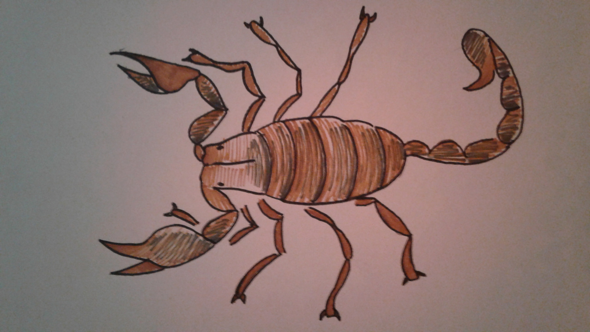 My sitters - My, Drawing, Insects, Longpost