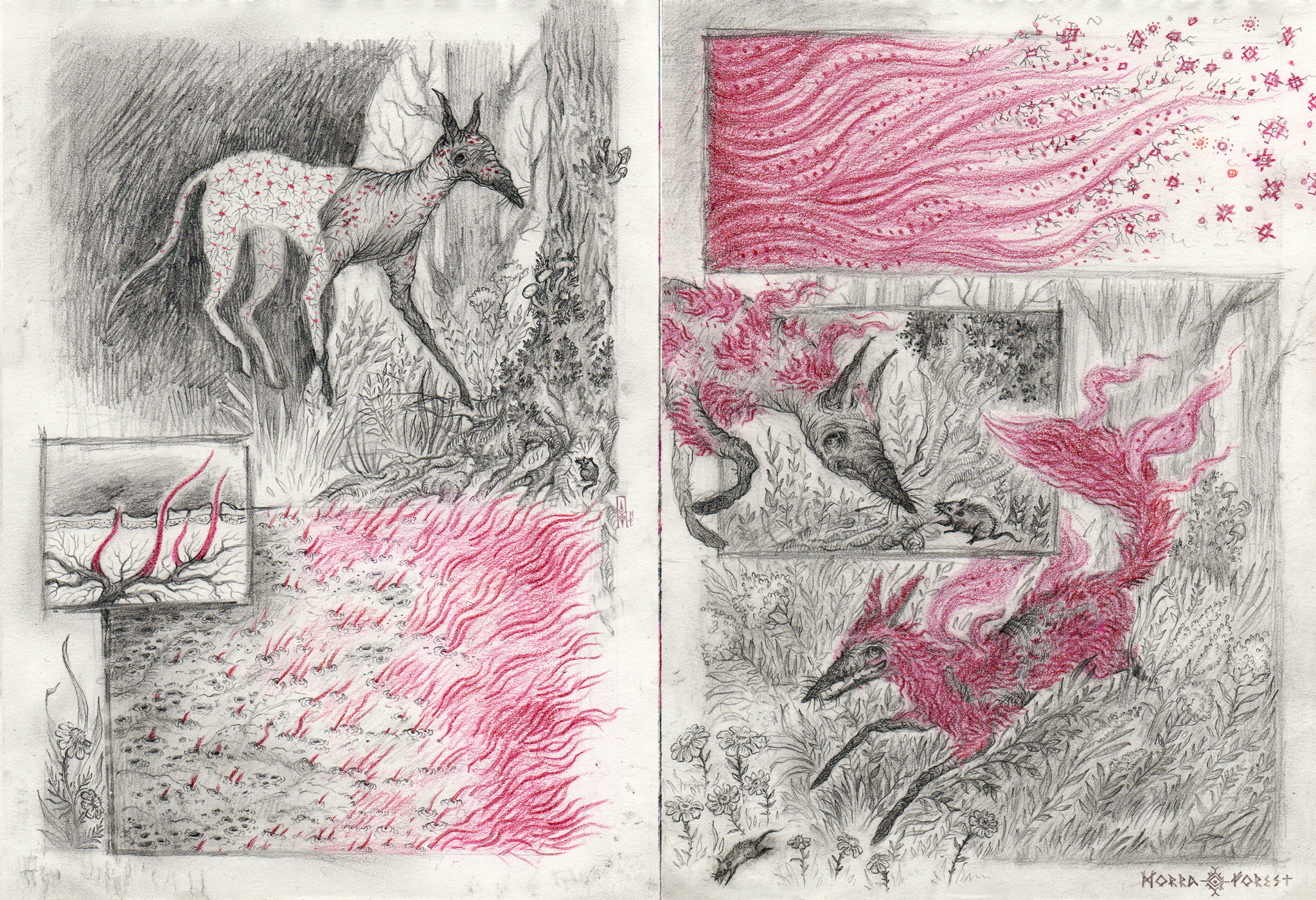 At the end of September - My, Comics, Author's comic, Pencil drawing, Fox, Plants, Longpost