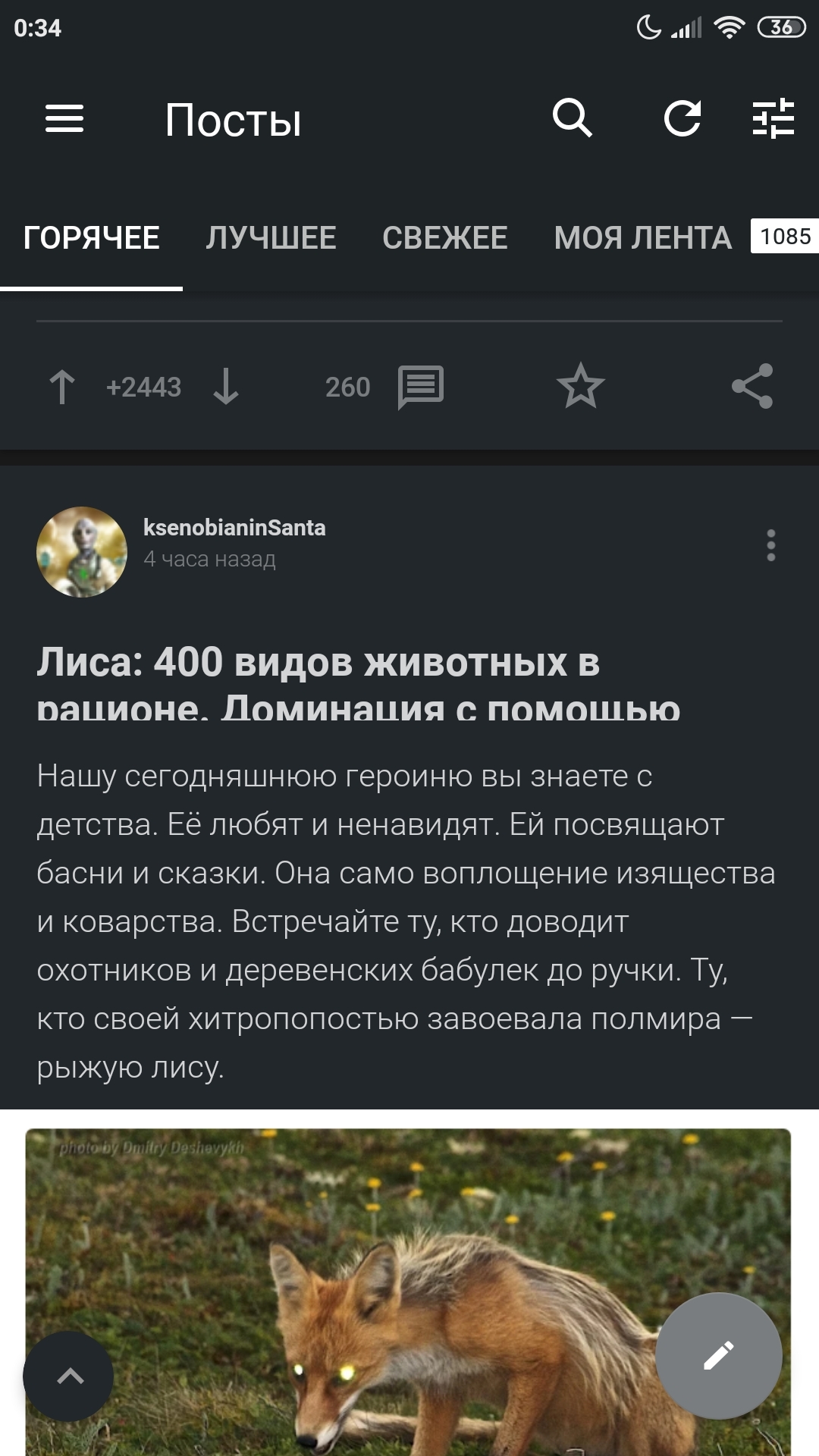 Bugs in post titles and text in the application - Peekaboo app, Bug on Peekaboo, No rating, Peekaboo support, Longpost