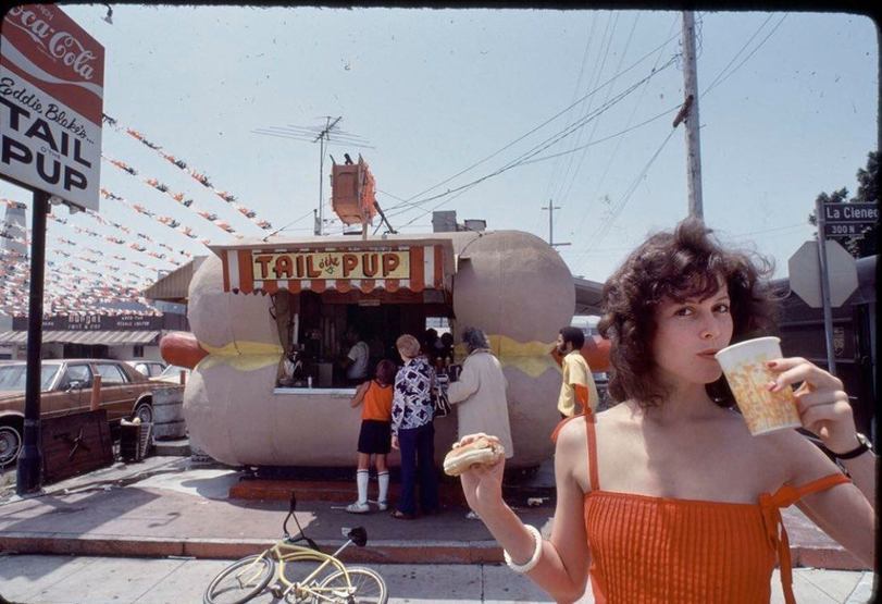 Sigourney Weaver and Puppy Tail, Los Angeles, 1978 - Sigourney Weaver, Hot Dog, Actors and actresses