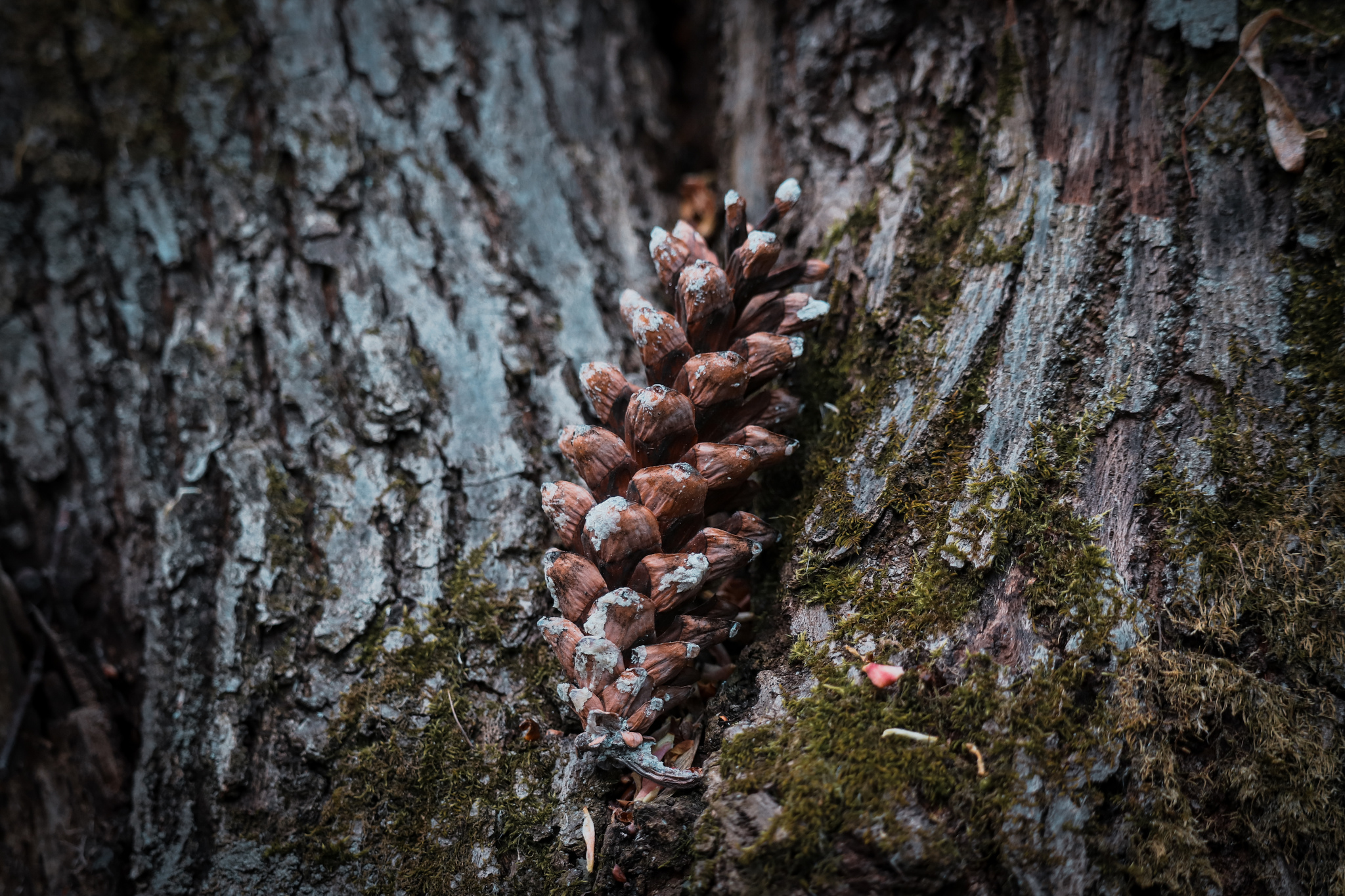 Spring mood - My, The photo, Nature, Spring, Canon 800D, Bike ride, Longpost