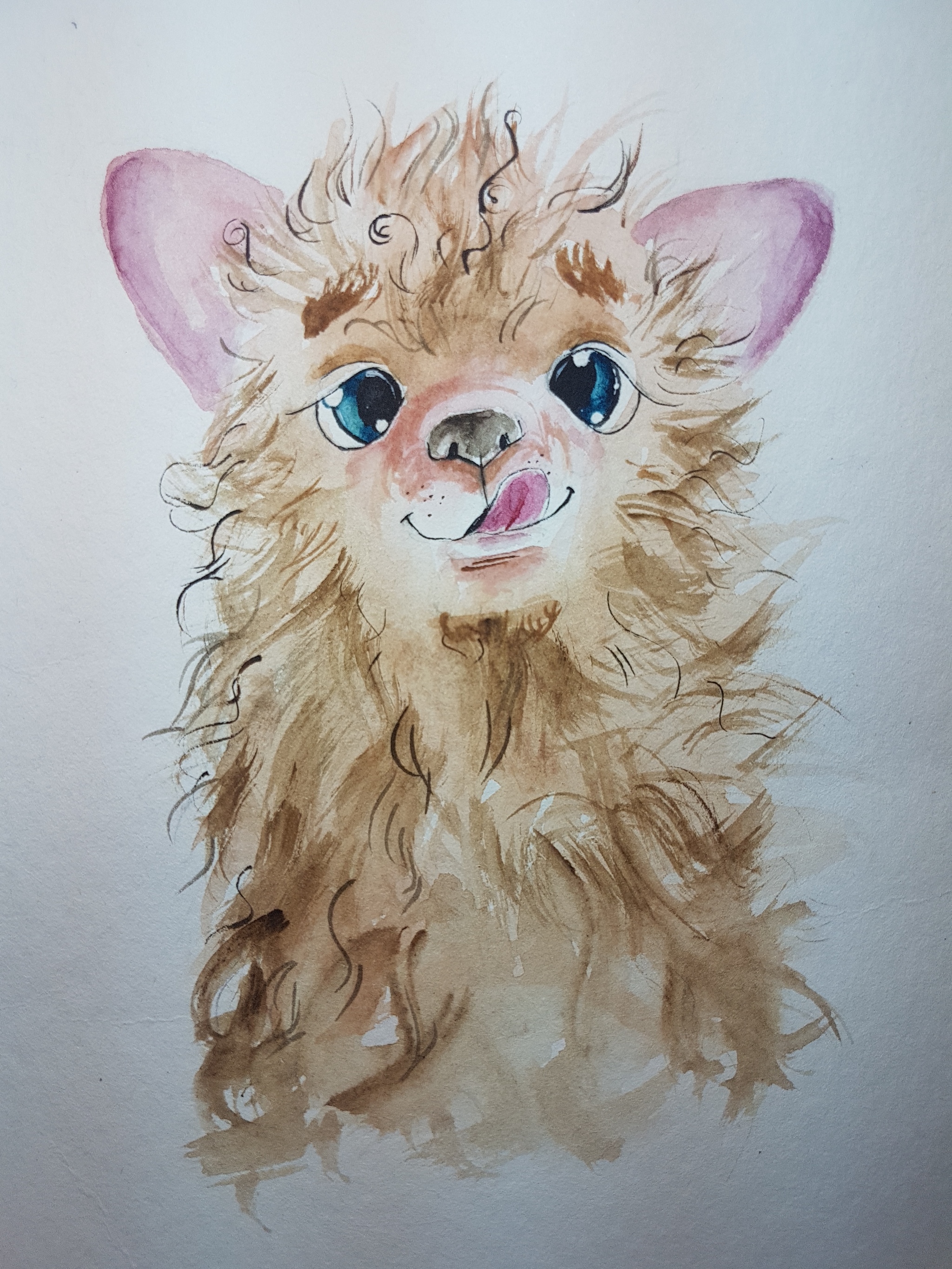 Received a drawing from Sebiryachka - My, Kindness, Belief in people, Gratitude, Alpaca, Presents, Longpost