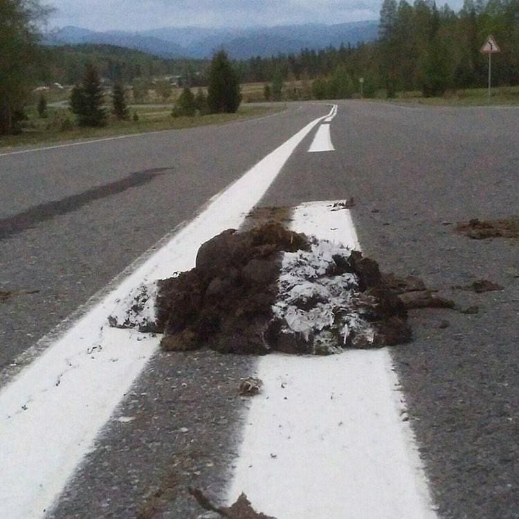 This is not the limit - League of Leni, Litter, Markup, Buryatia, Road, From the network