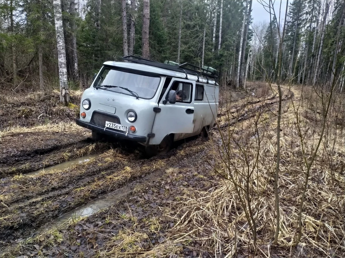 We drove along impassable logging roads of the Vepsian forest to the mysterious Finnish fortifications. Part I - Travels, Карелия, Abandoned, Forest, Swamp, Longpost, Road trip, Yandex Zen