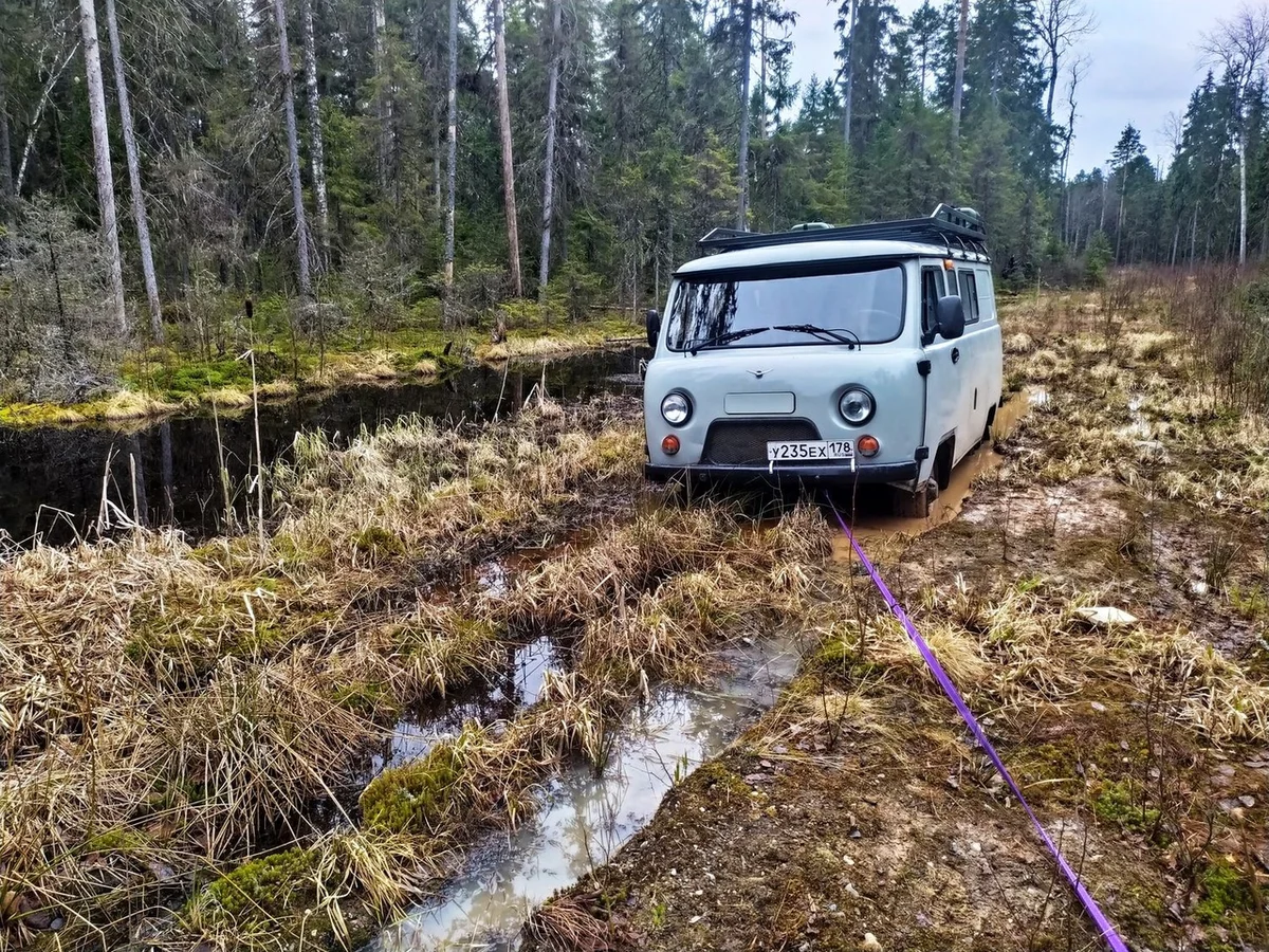 We drove along impassable logging roads of the Vepsian forest to the mysterious Finnish fortifications. Part I - Travels, Карелия, Abandoned, Forest, Swamp, Longpost, Road trip, Yandex Zen