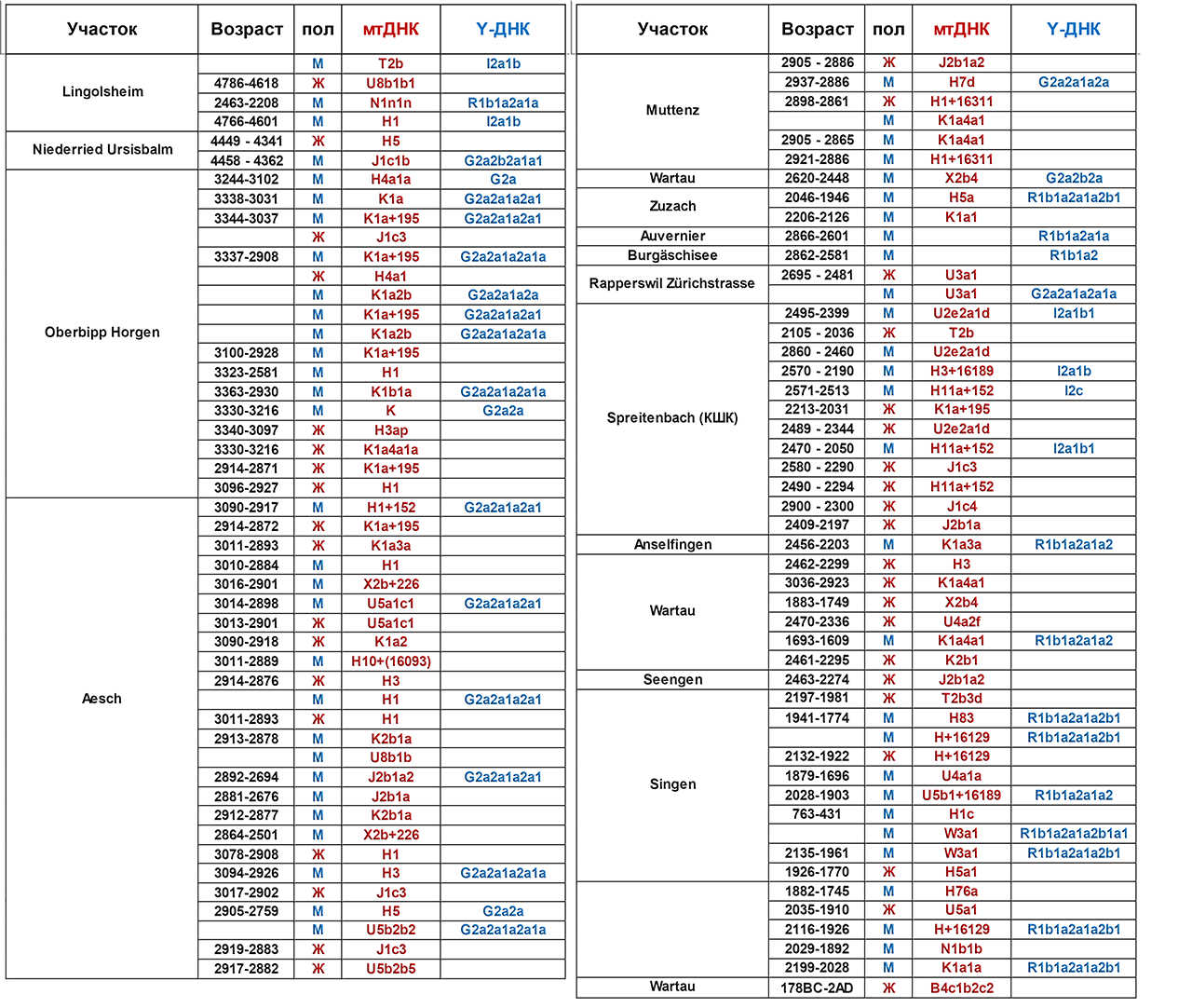 Migrations from the steppe and genetic changes in Central Europe during the transition to the Bronze Age - My, The science, Archeology, Population genetics, Yamnaya culture, Story, History of Europe, Video, Longpost, Genetics, GIF