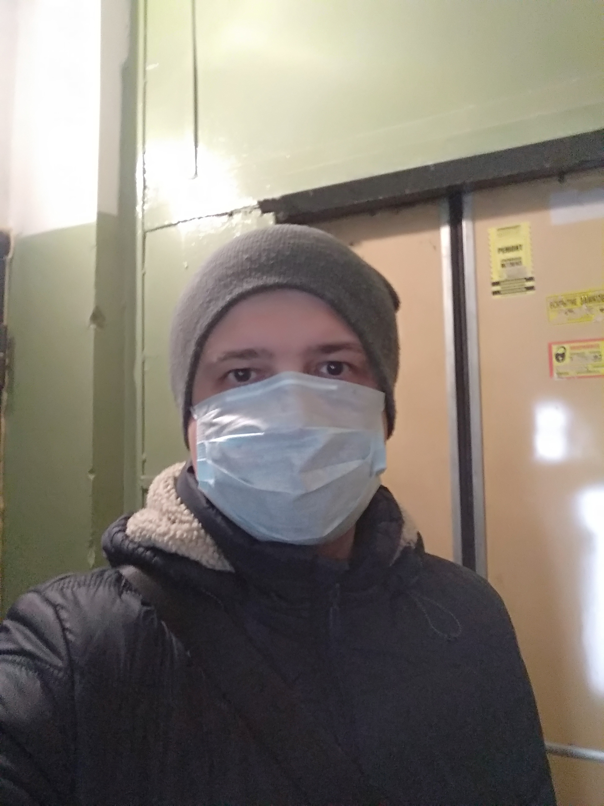 For a walk. Modern problems require modern solutions. (Joke) - My, Dog, Quarantine, Coronavirus, Longpost