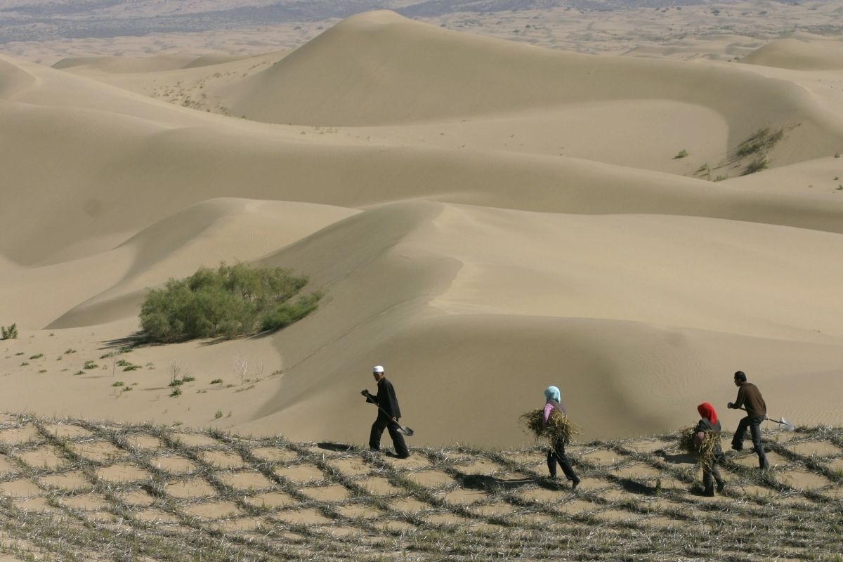 Chinese desert turned into oasis after 70 years of greening - China, Desert, Landscaping, Longpost