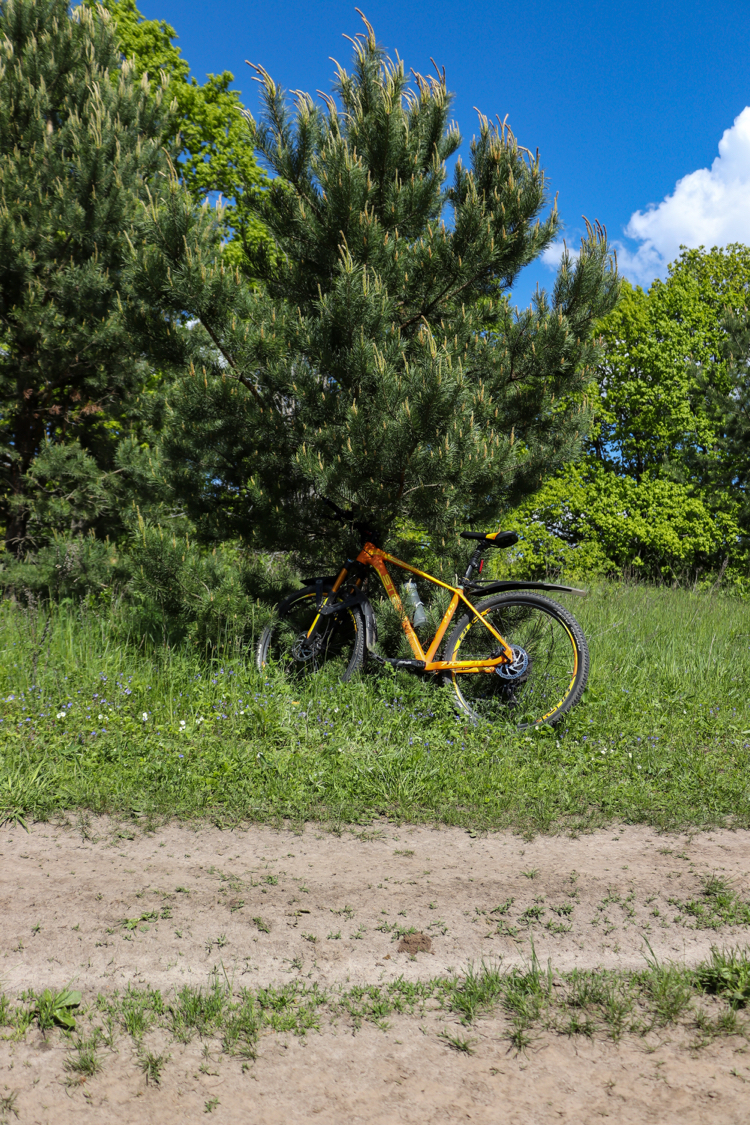 Bicycle-landscape - My, The photo, Nature, A bike, Landscape, Canon 800D, Plants, Insects, Longpost