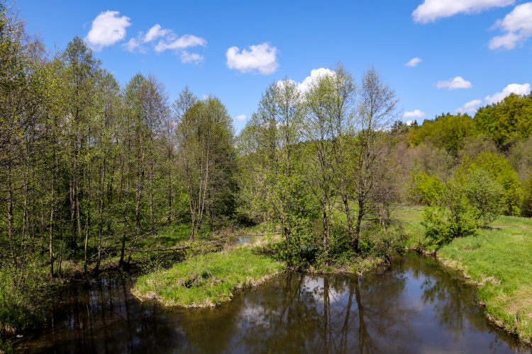 Велосипедно-пейзажное - Моё, Фотография, Природа, Велосипед, Пейзаж, Canon 800D, Растения, Насекомые, Длиннопост