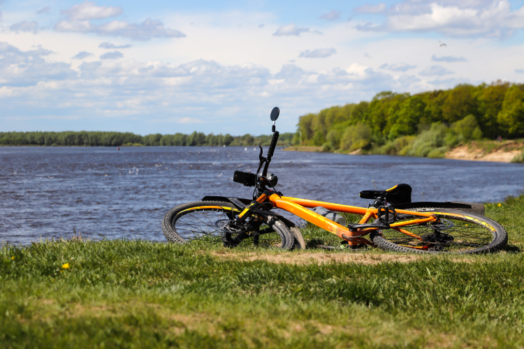 Bicycle-landscape - My, The photo, Nature, A bike, Landscape, Canon 800D, Plants, Insects, Longpost